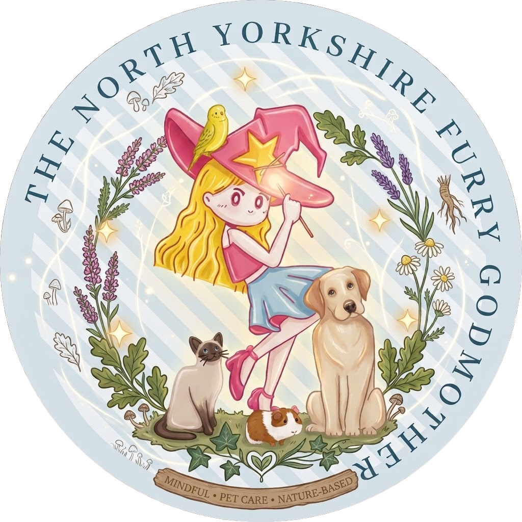 The Yorkshire Furry Godmother