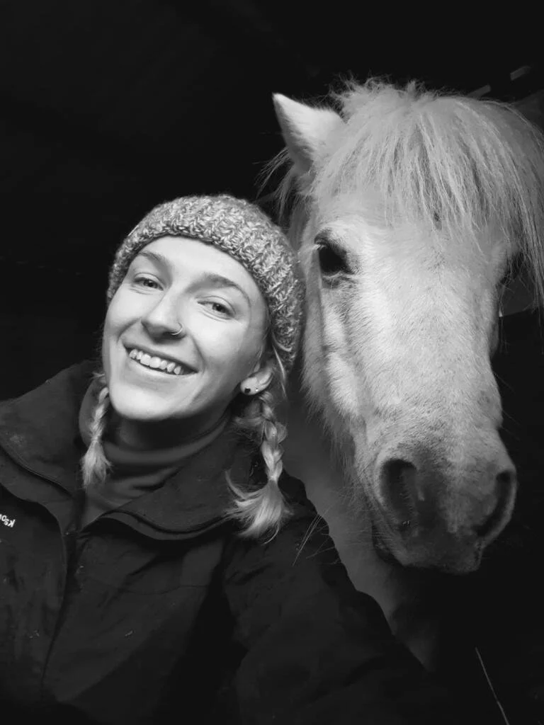 Some of The Horses, Ponies, Cats and Other Lovelies!