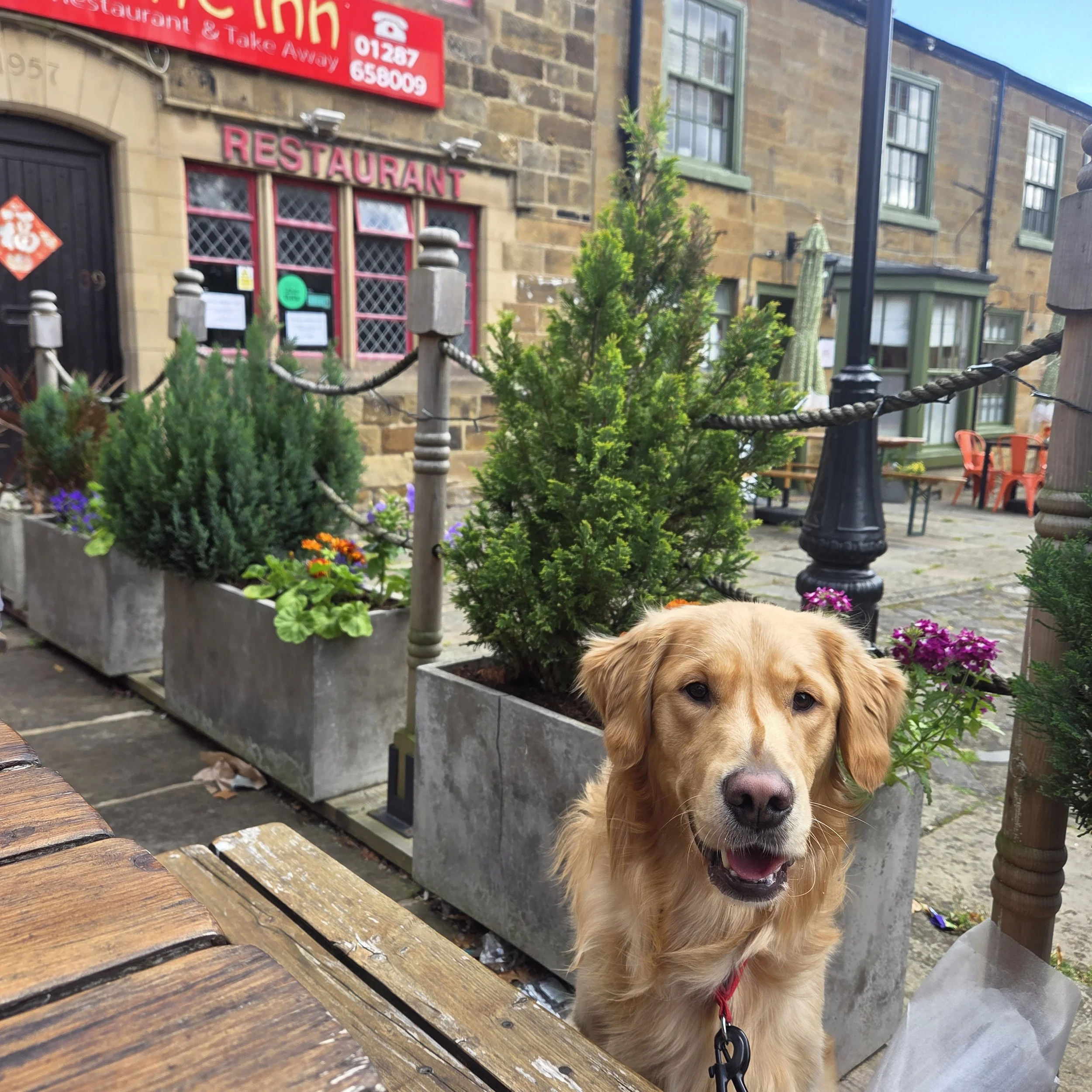 Cafe Stops & Other Adventures