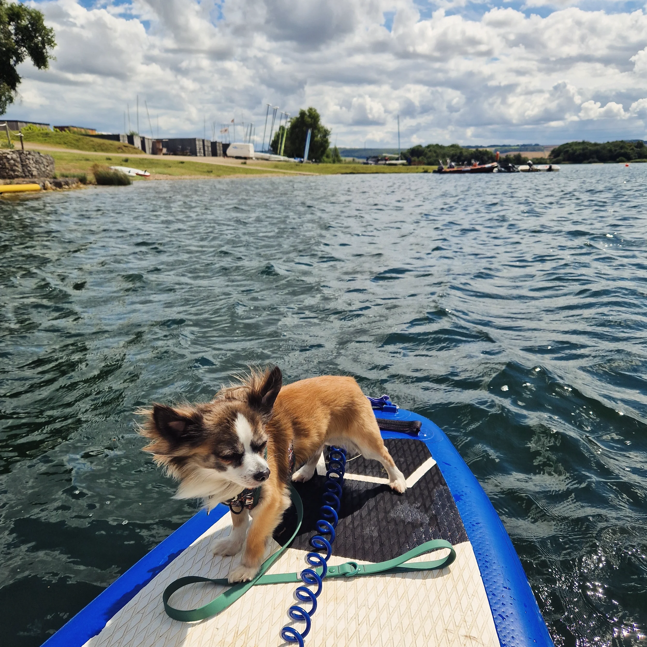 IMG_20241122_164539_104.webp
