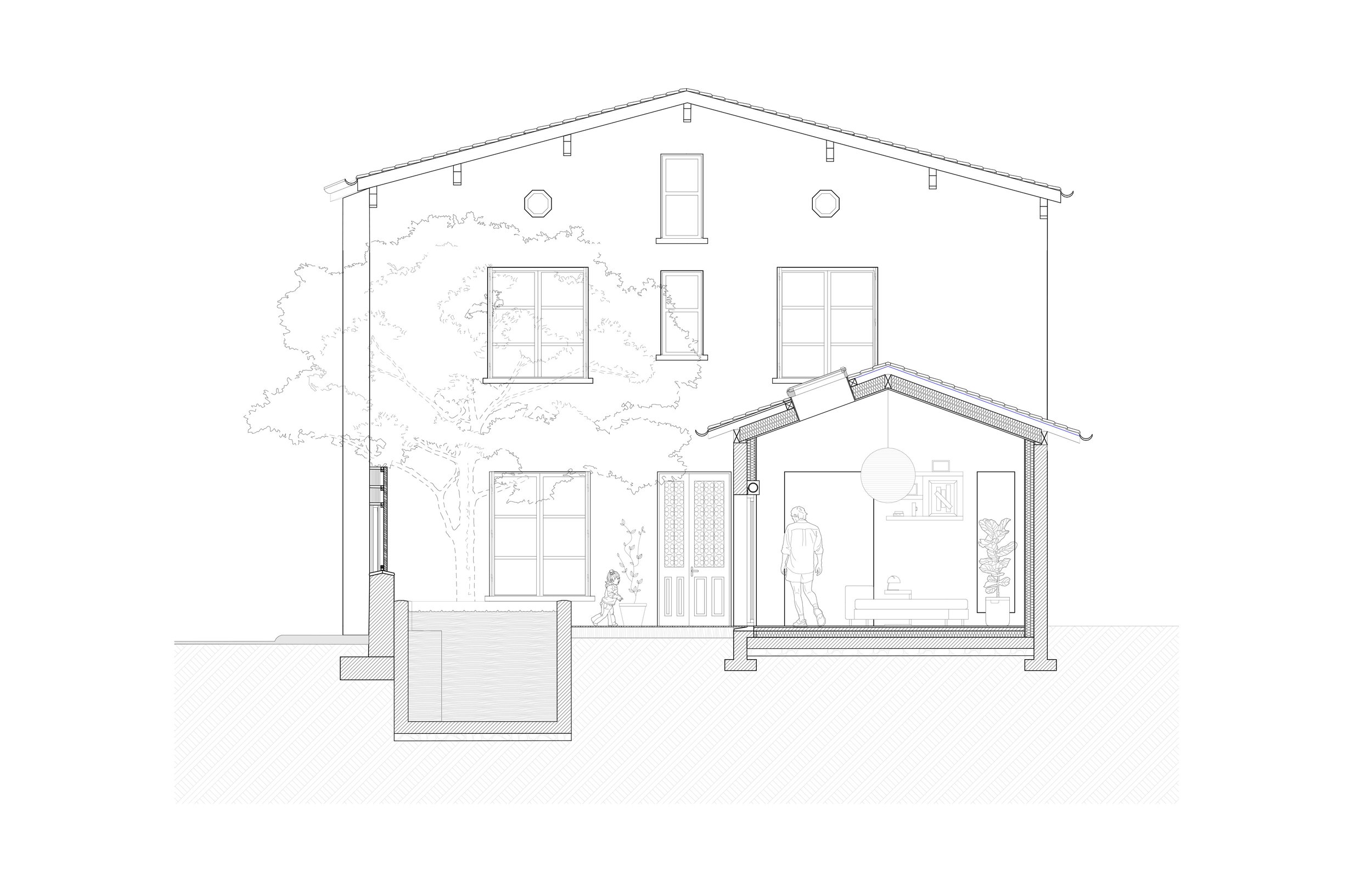 Coupe architecturale montrant le dialogue entre l'extension, le patio et le bassin. Une section qui explique comment la lumière pénètre au cœur de la maison.