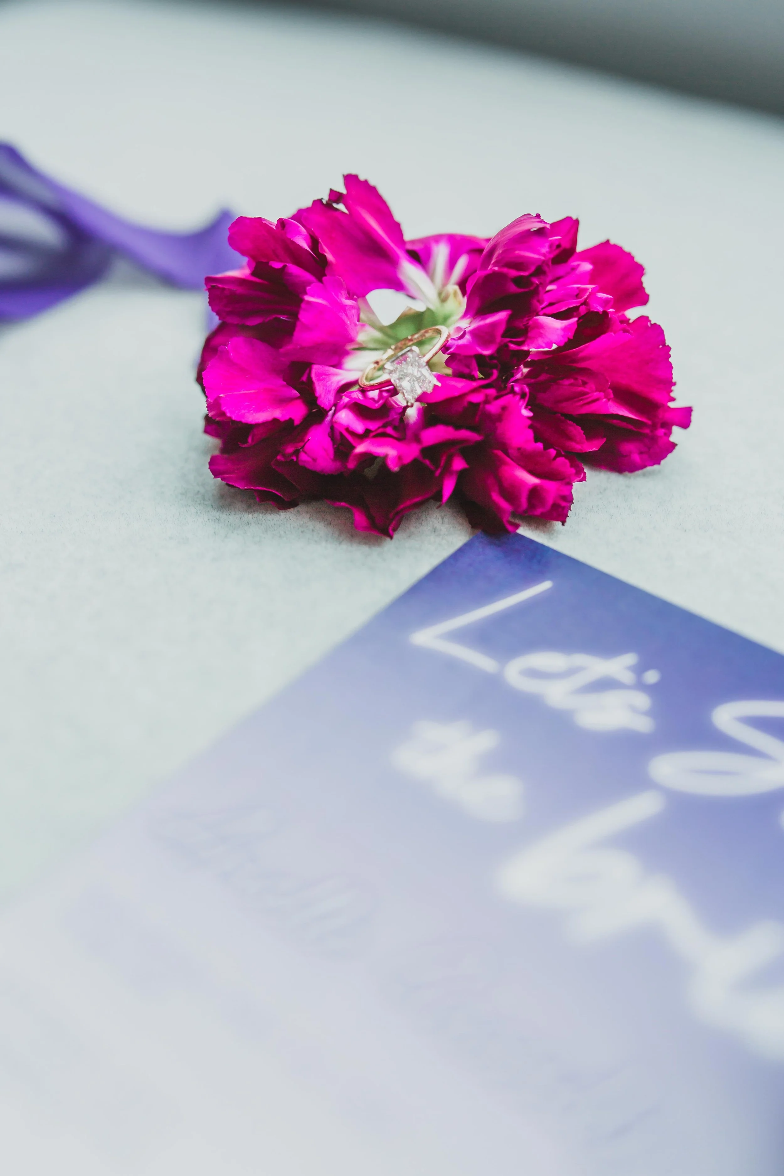 Flatlays-8.jpg