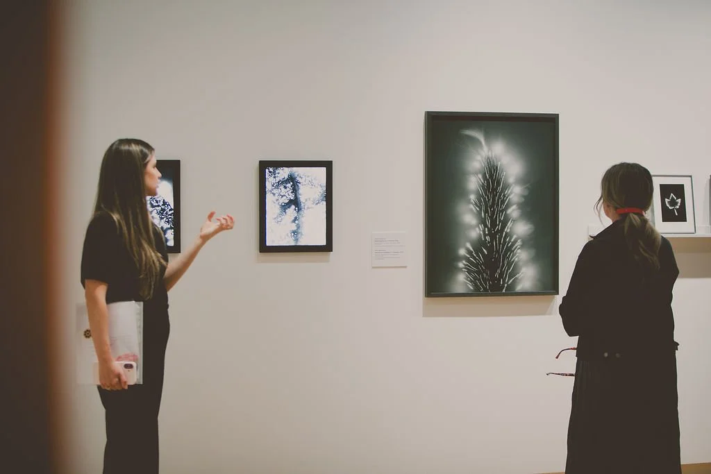 The Base Layer: Why Art is the Foundation of Home