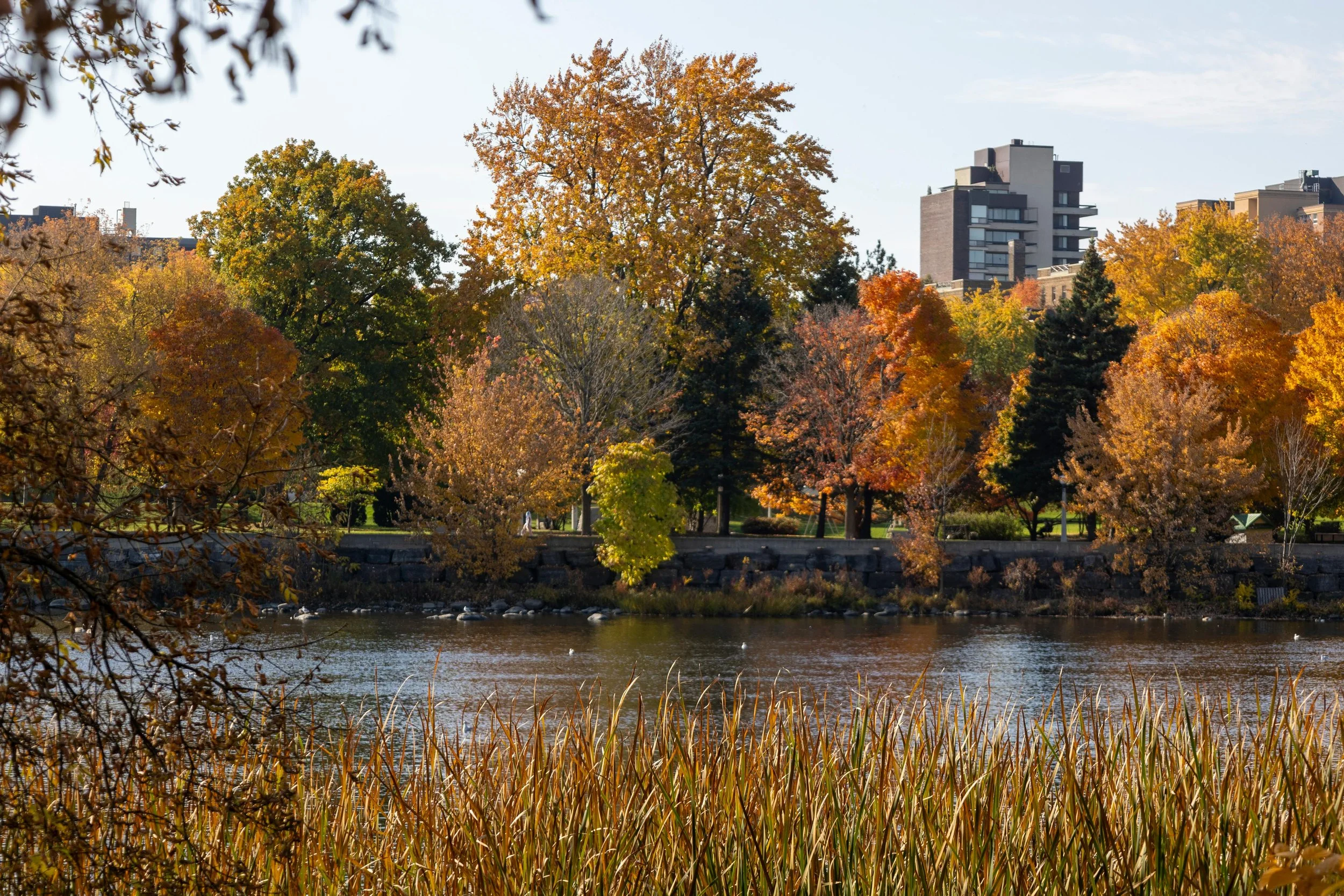 Ottawa Real Estate: August 2025 Insights and Findings