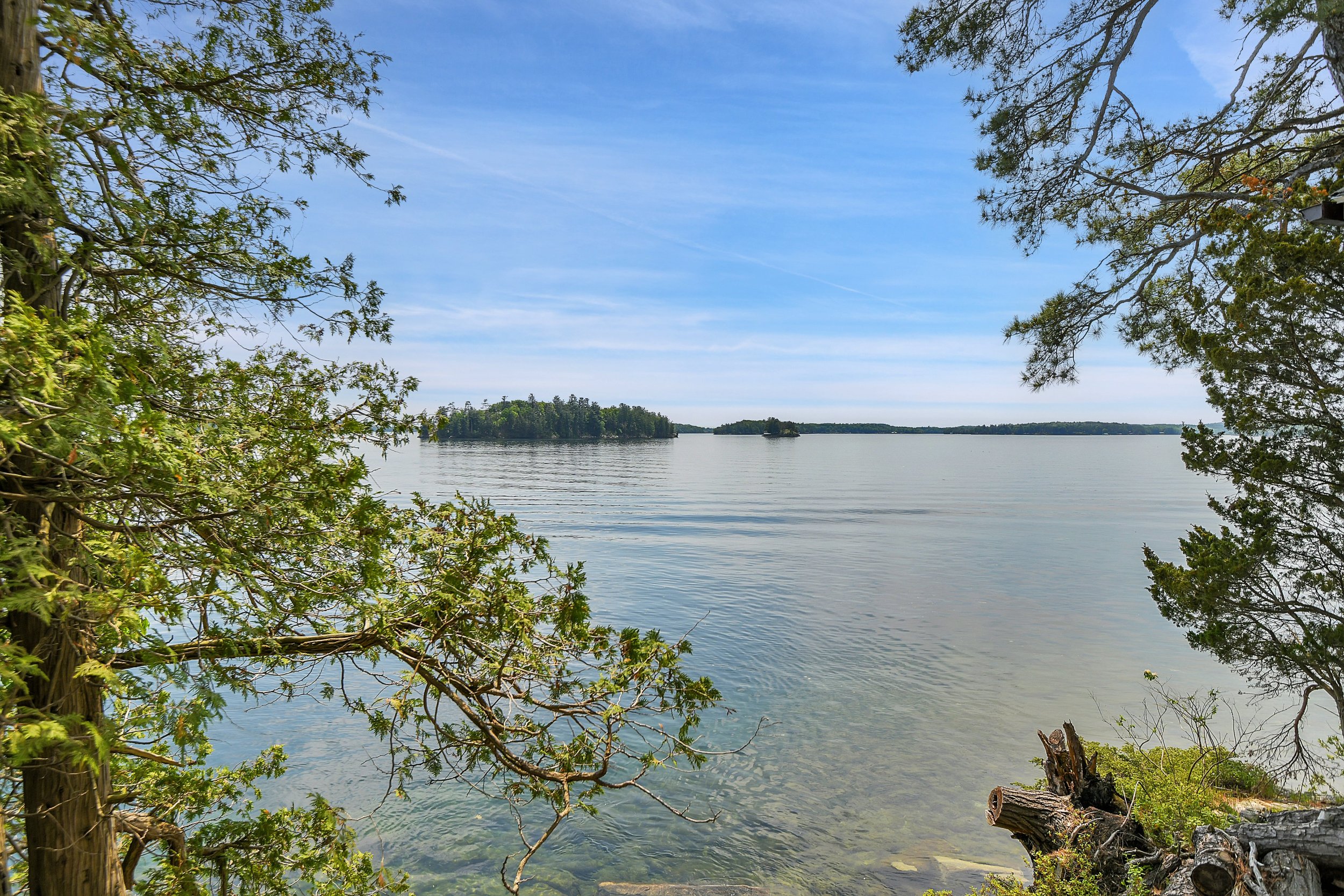 LGI_Hi Res_038.jpg
