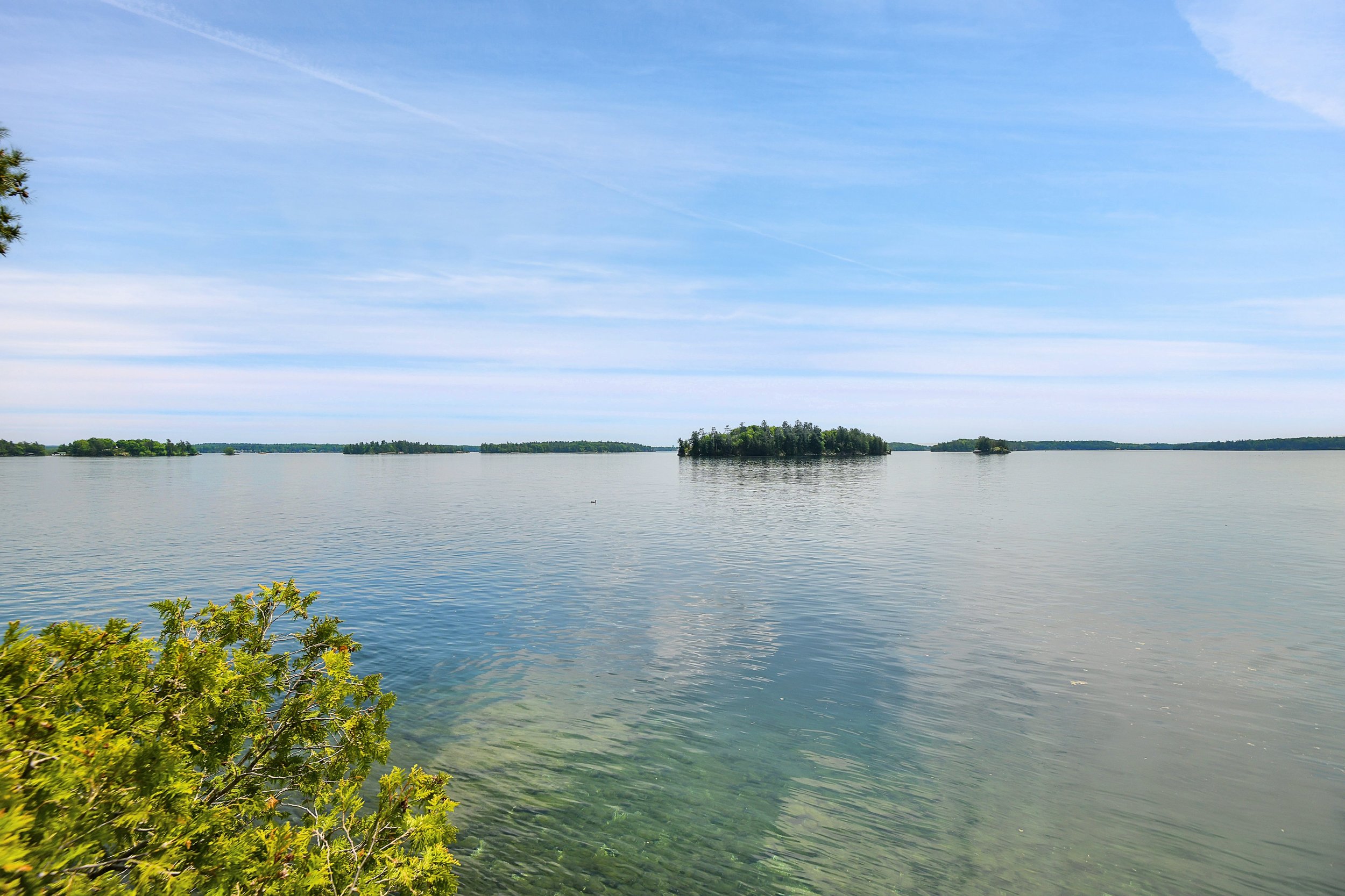 LGI_Hi Res_016.jpg