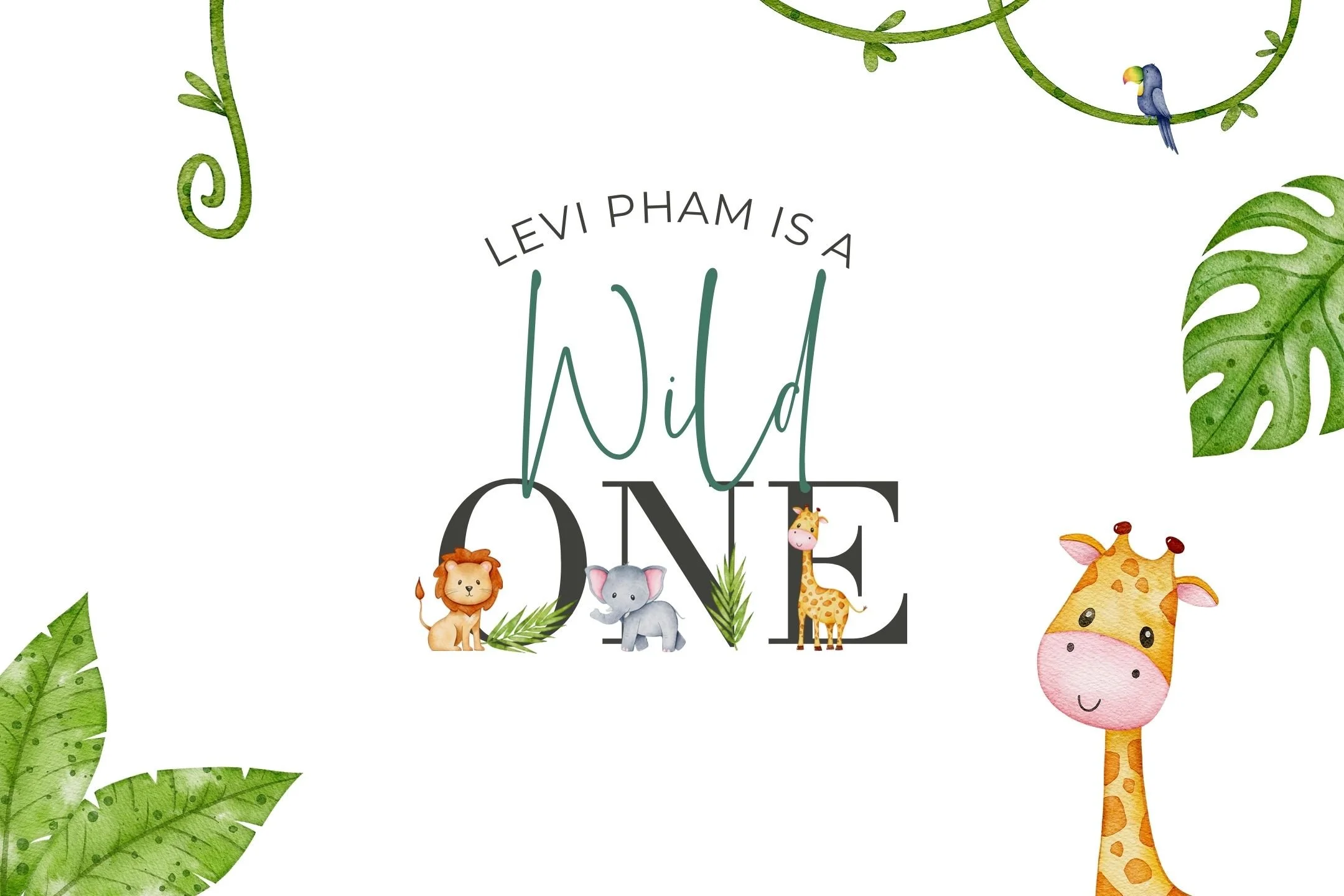 Happy Birthday Levi!