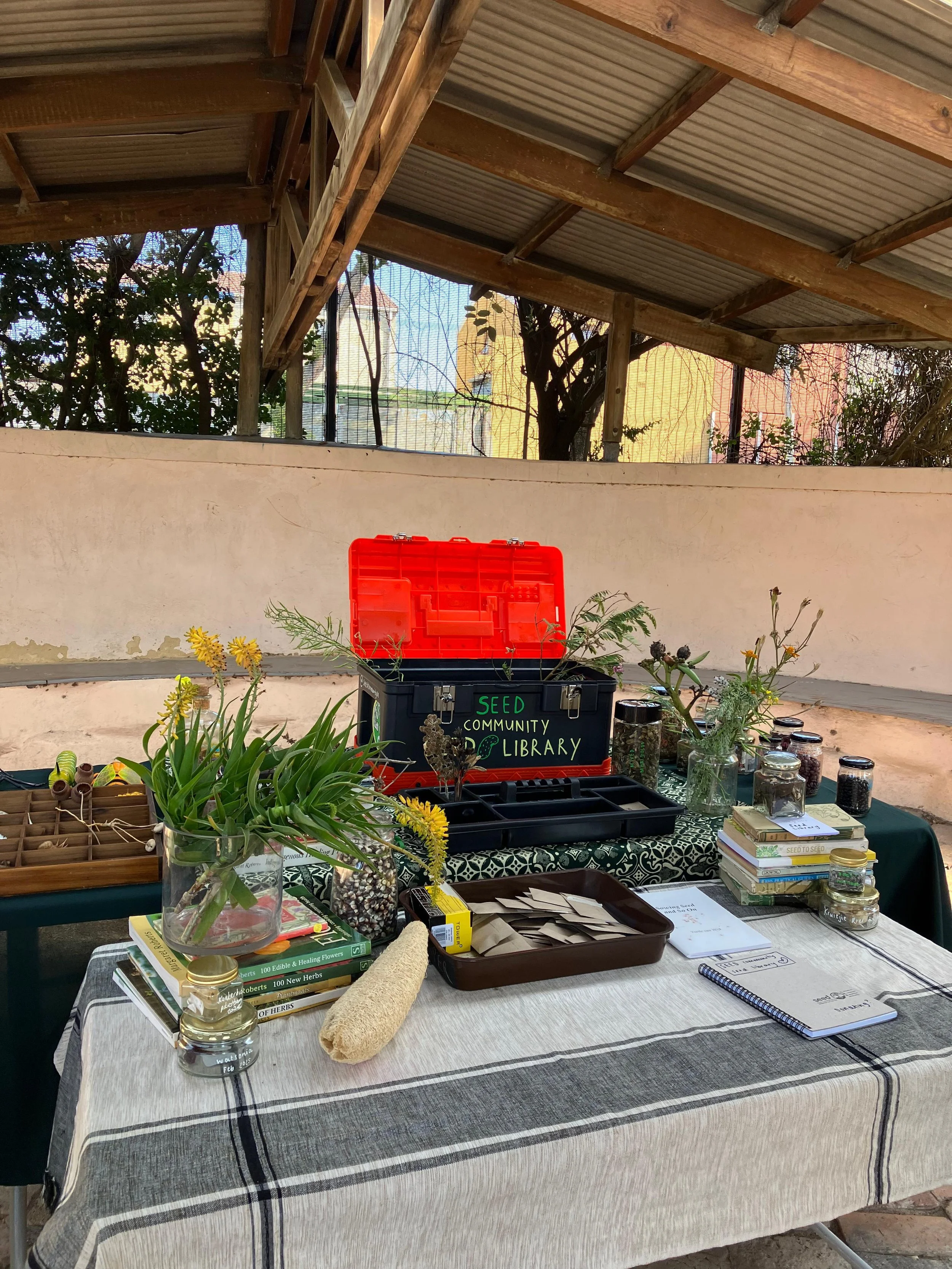 Seed Library in Mitchells Plain.jpeg