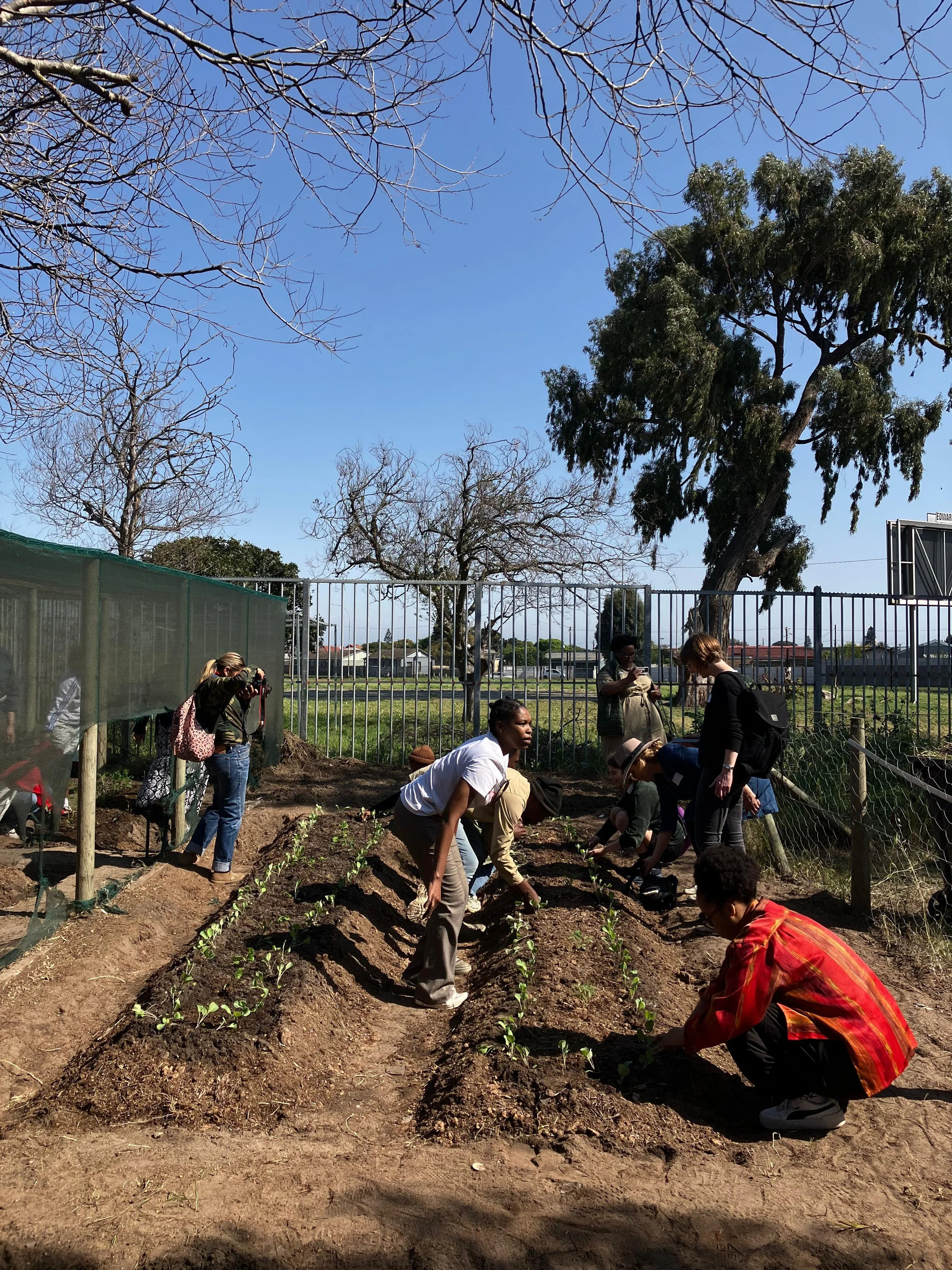 Sowing Seeds for System Change 1.jpeg