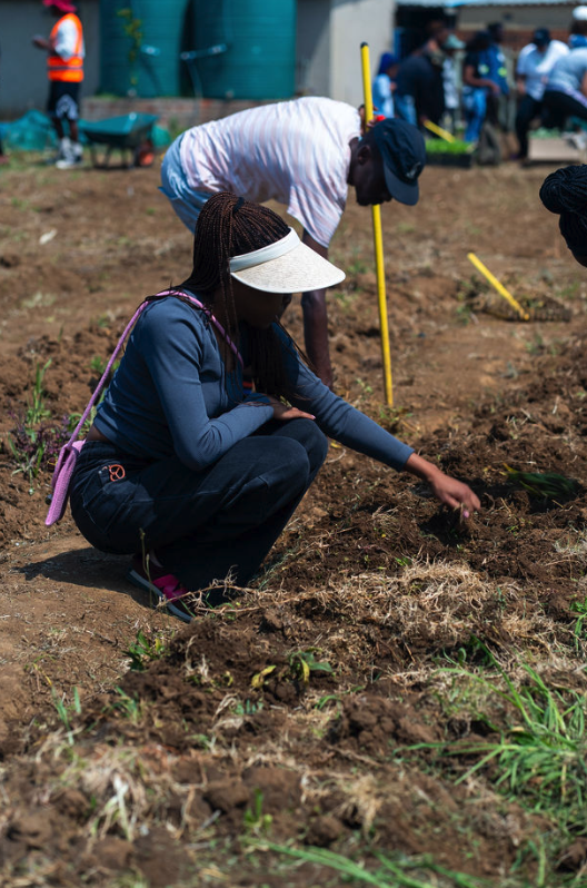 JHB Climate Week - Day 4 (3).png