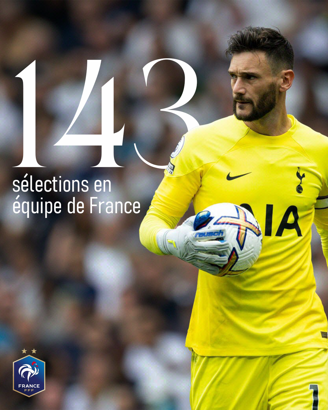 LLORIS.png