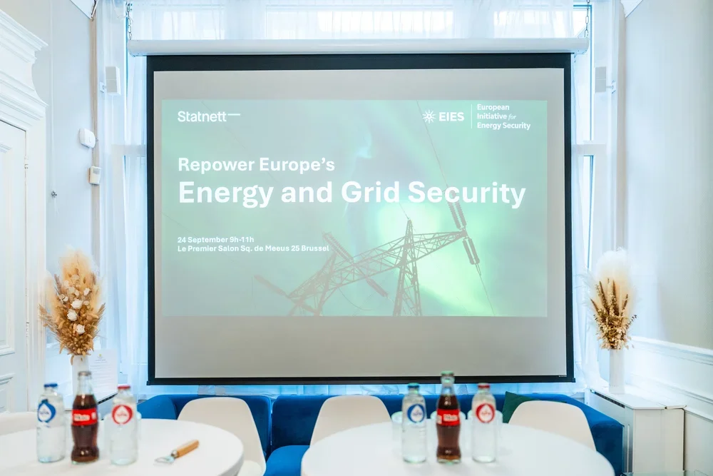 Roundtable: REpower Europe's Energy and Grid Security