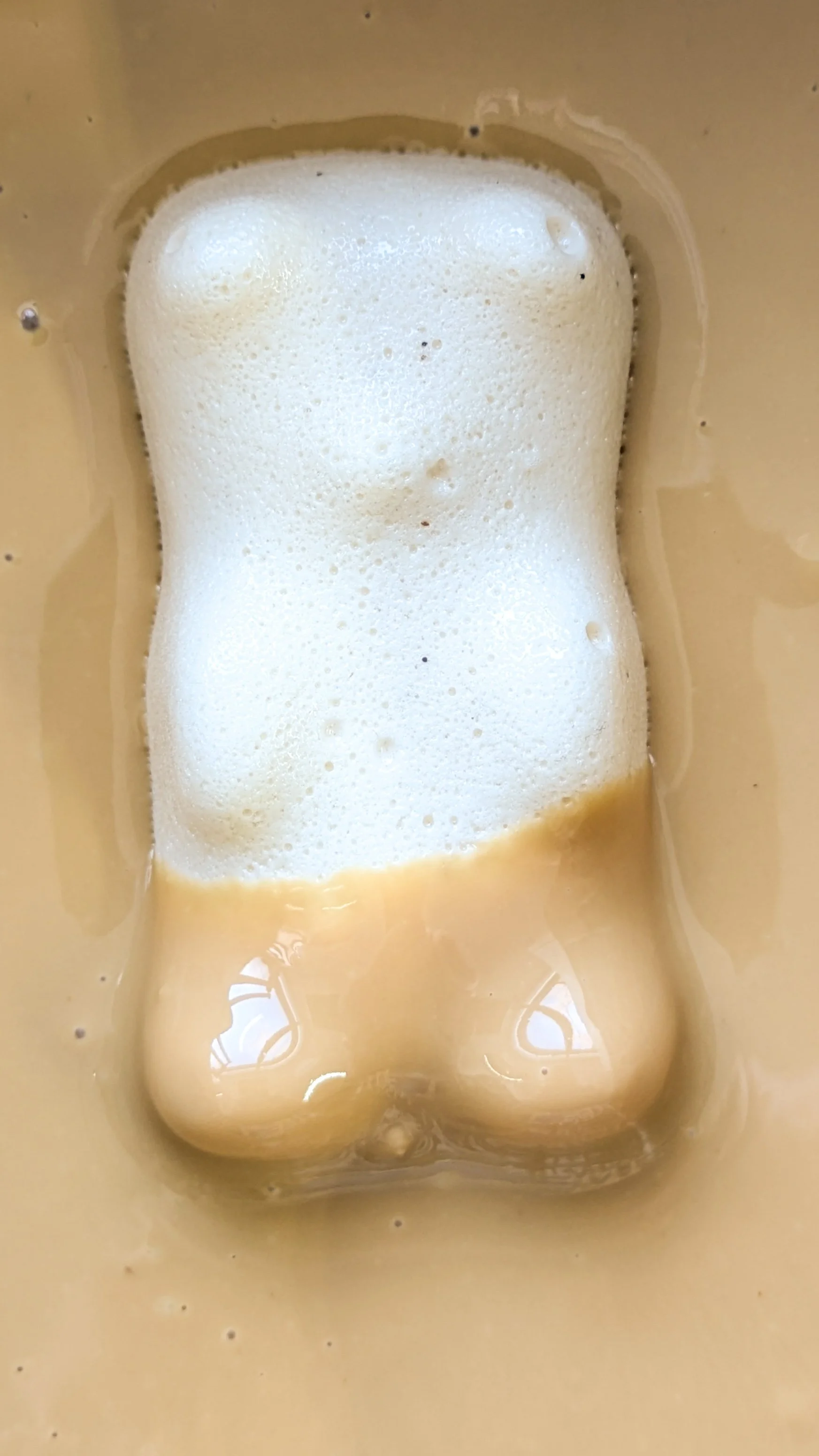 oursons guimauve érable