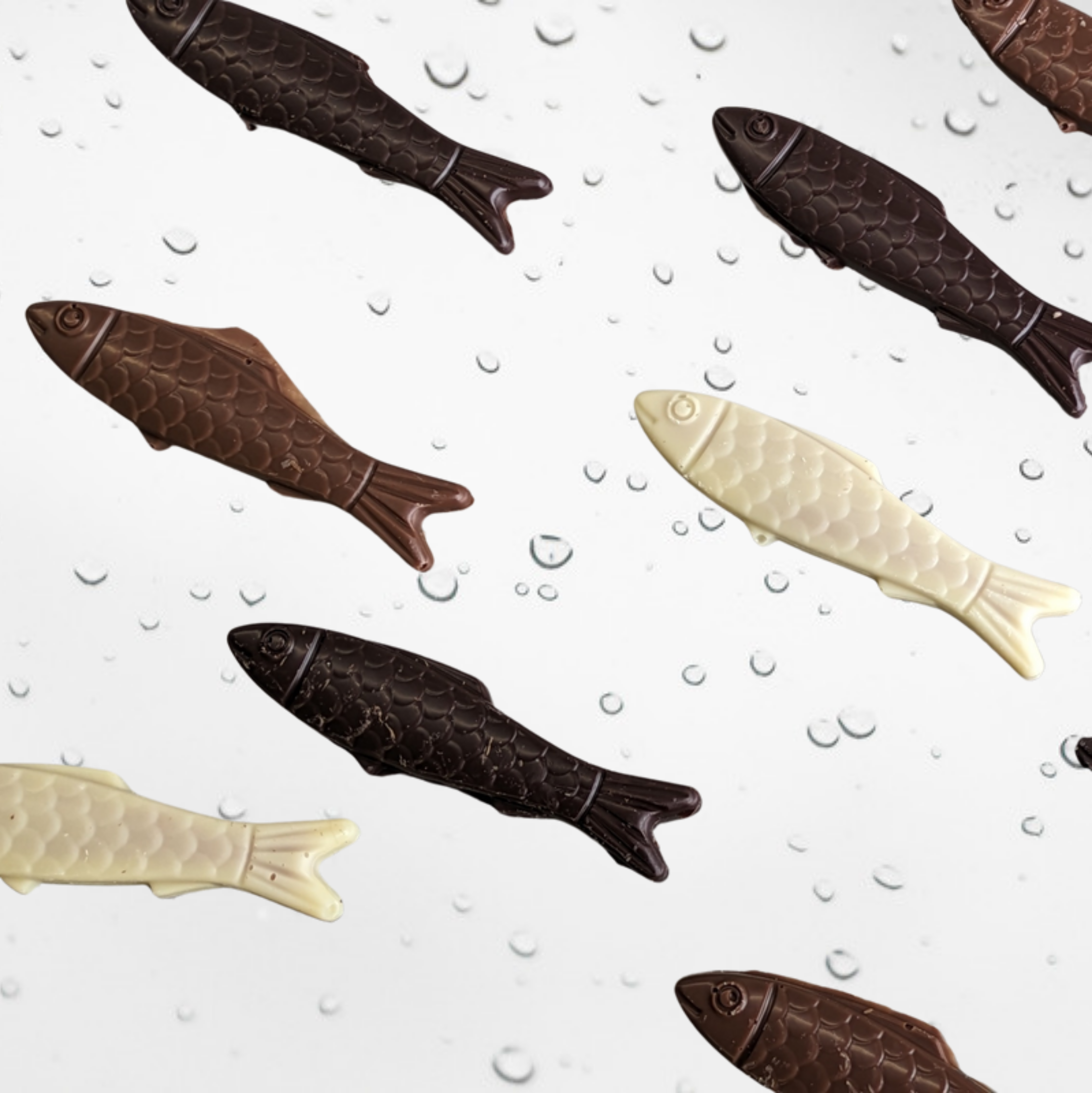 Sardines au praliné - disponible à partir du 25 mars