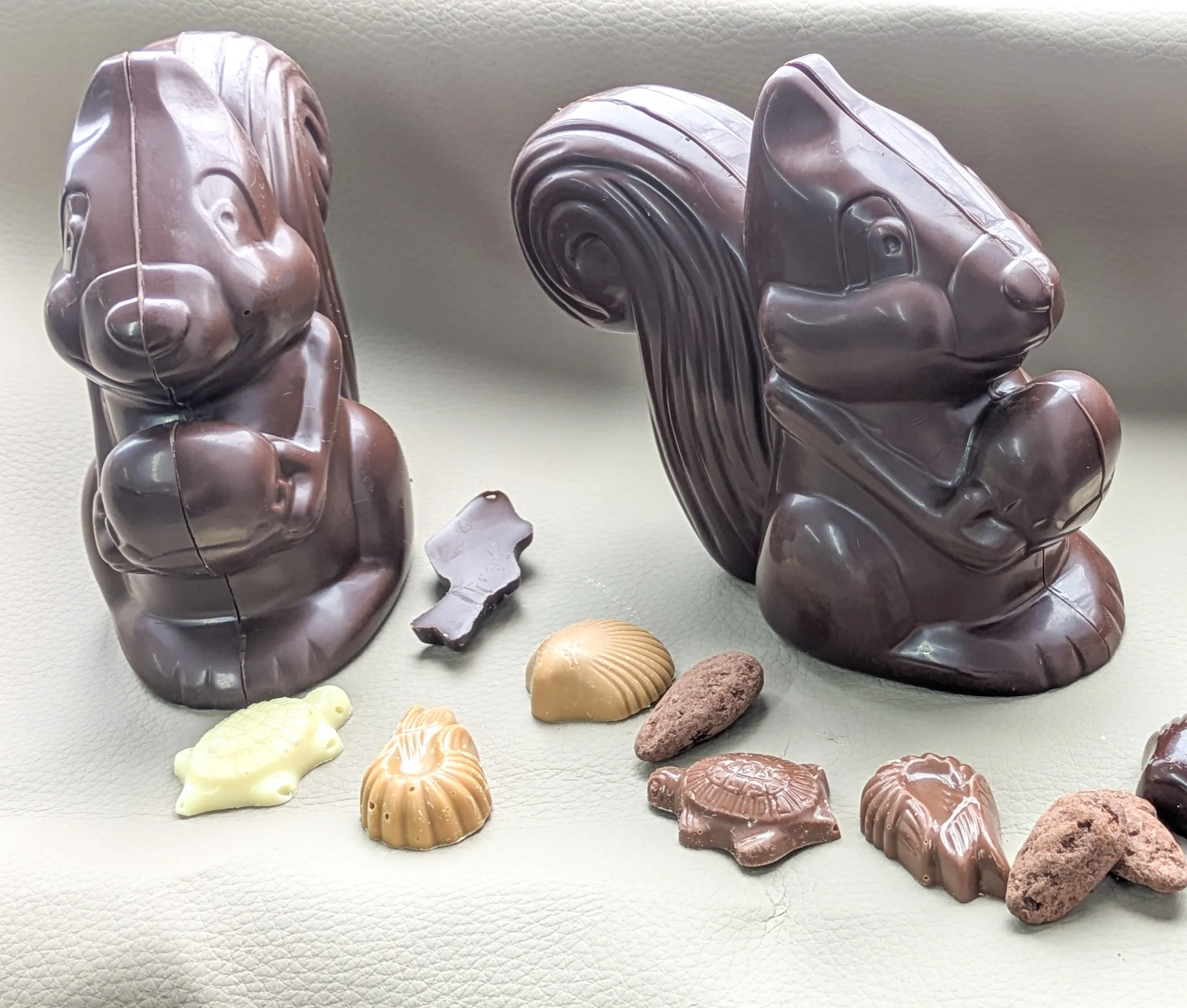 Ecureuil garni de chocolat. disponible à partir du 25 mars