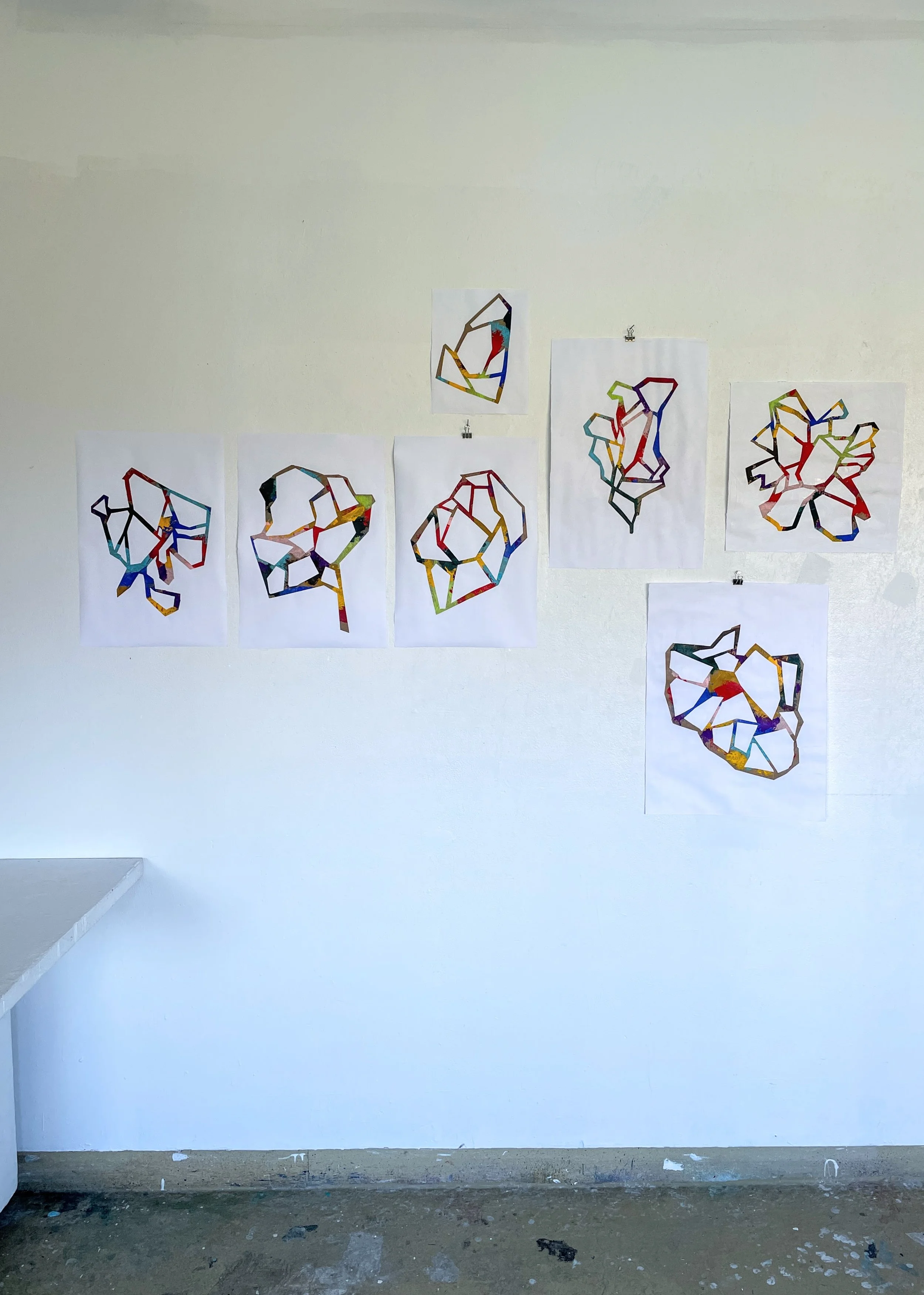 A view of the original 2-D studies for Wild Flowers, created while in residence at Virginia Center for Creative Arts in October-November 2024.