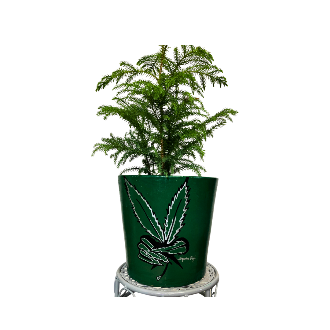 "Stoner's Peace" 2023