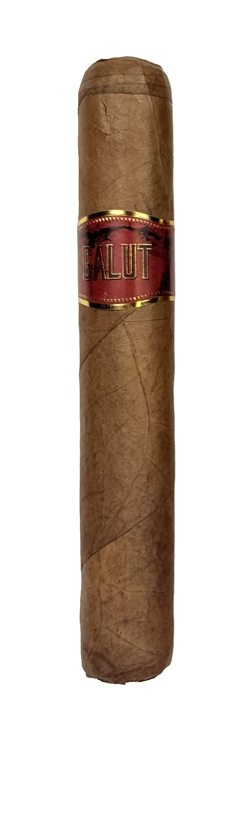 Galut Robusto.png