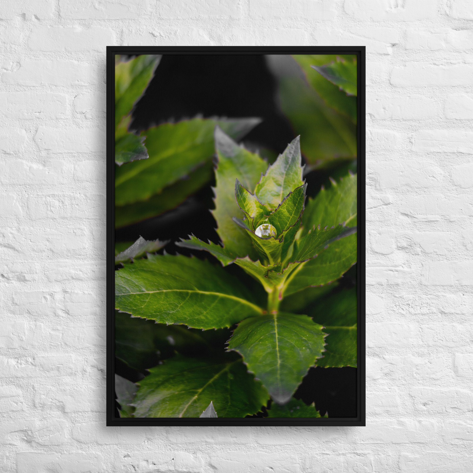framed-canvas-(in)-black-24x36-front-663e87ee785e8.jpg