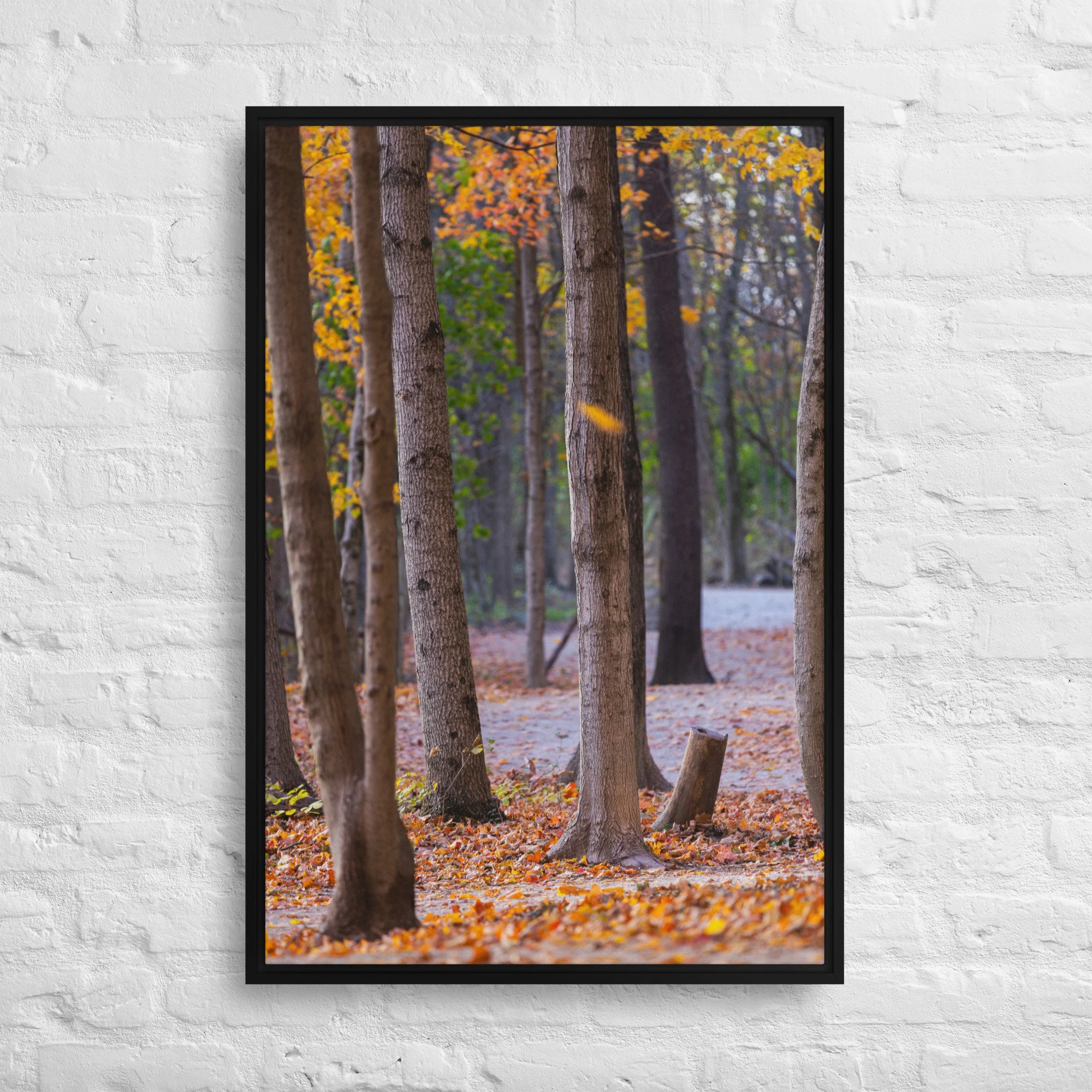framed-canvas-(in)-black-24x36-front-67228377898a2.jpg