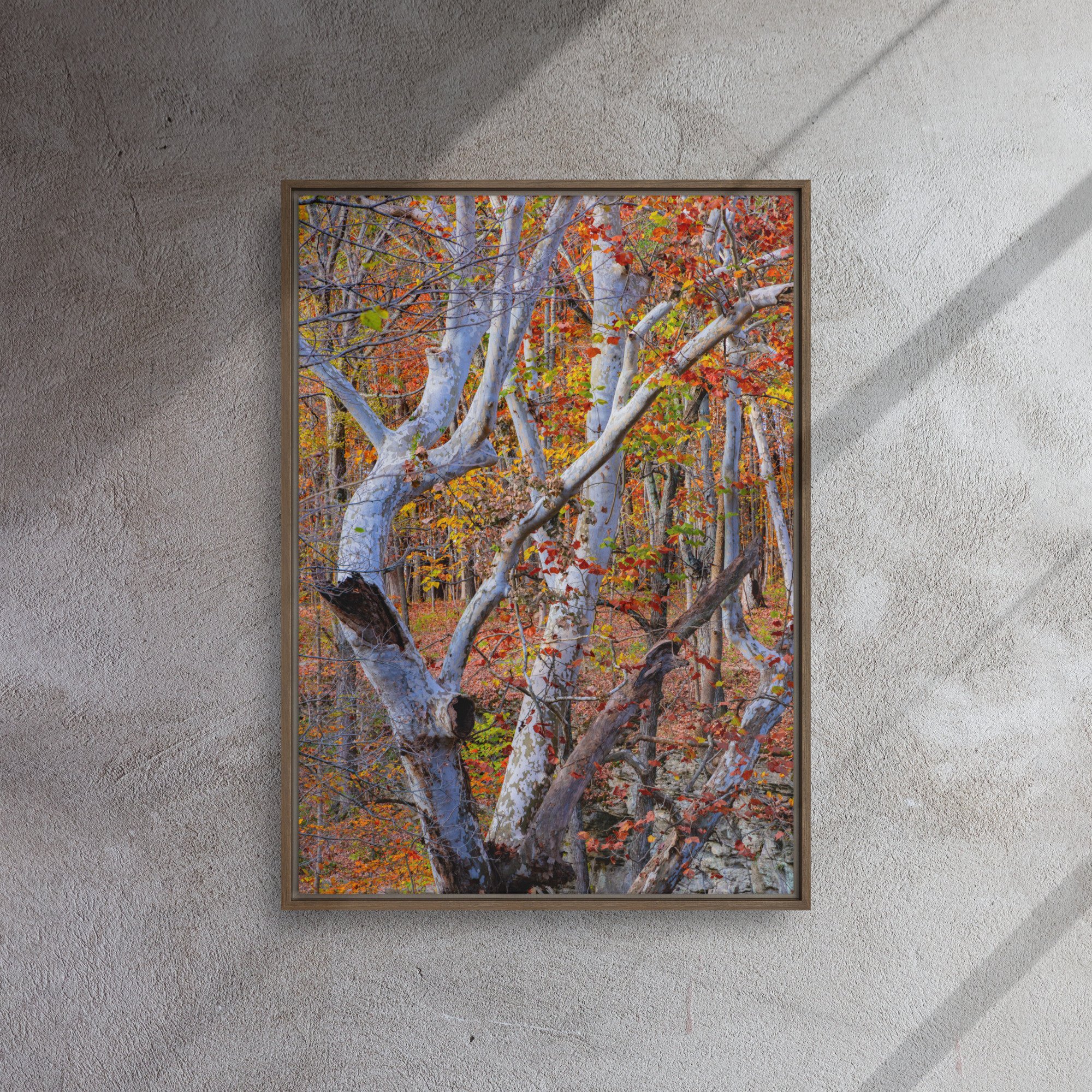 framed-canvas-(in)-brown-20x28-front-6724f801b4dcd.jpg
