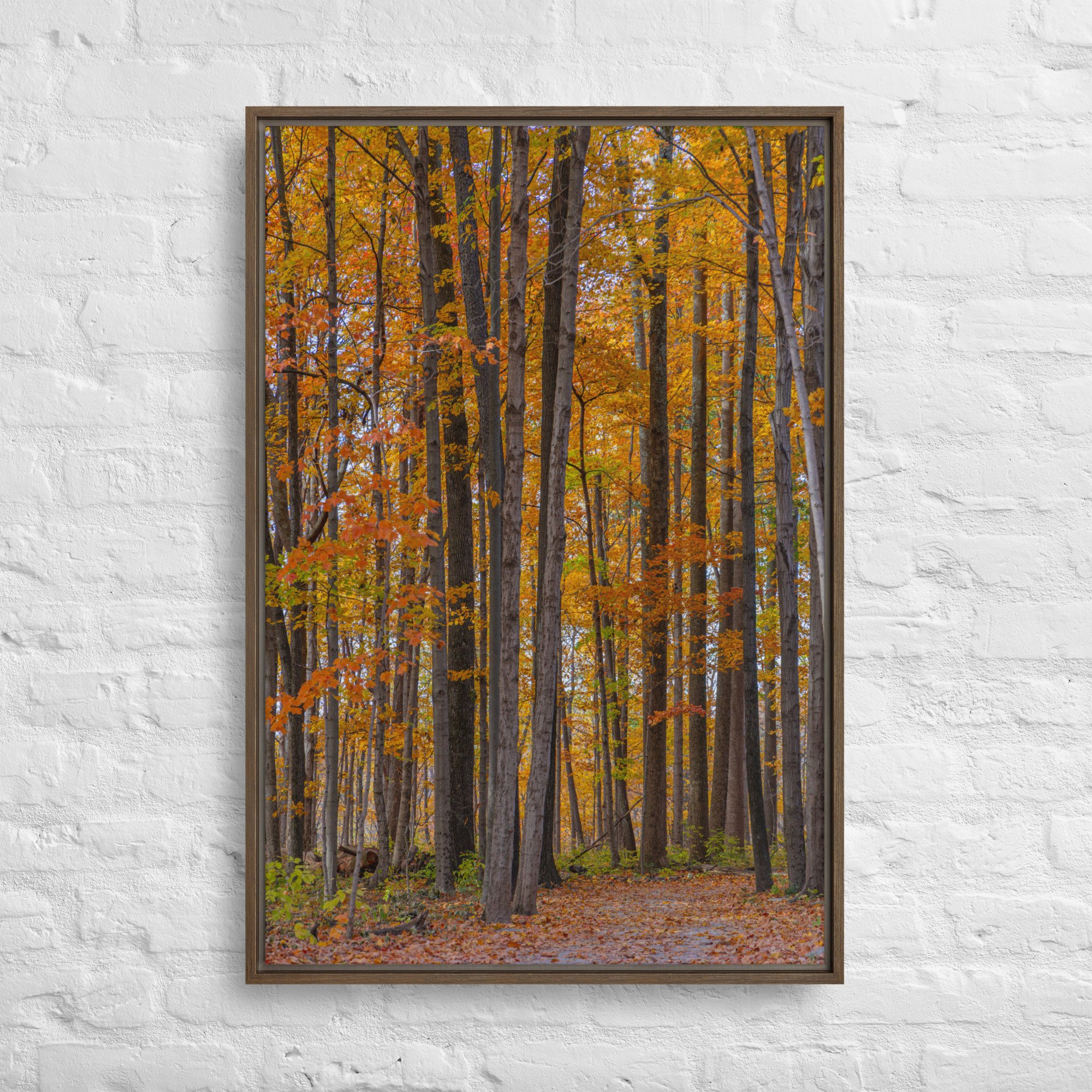 framed-canvas-(in)-brown-24x36-front-6724f9910c51f.jpg