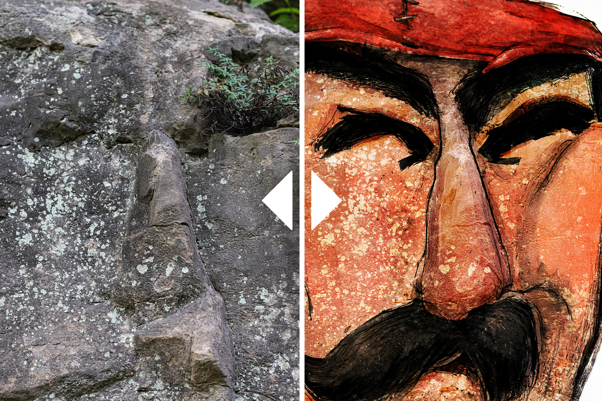 Faces In Nature
