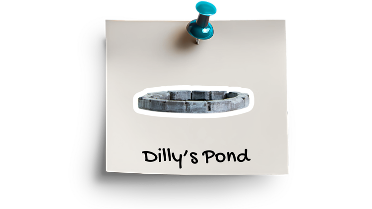 Dilly's Pond