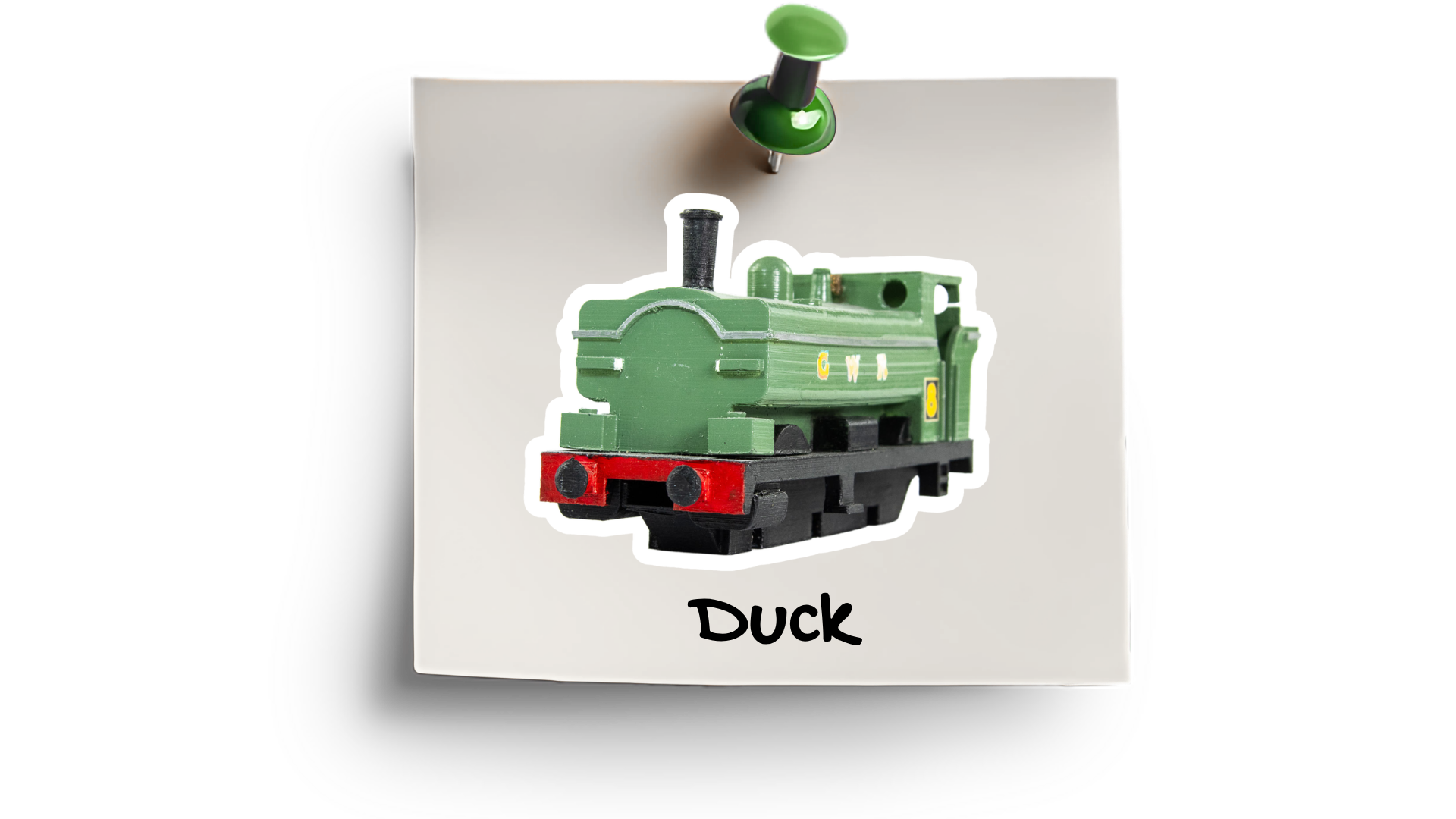 Duck