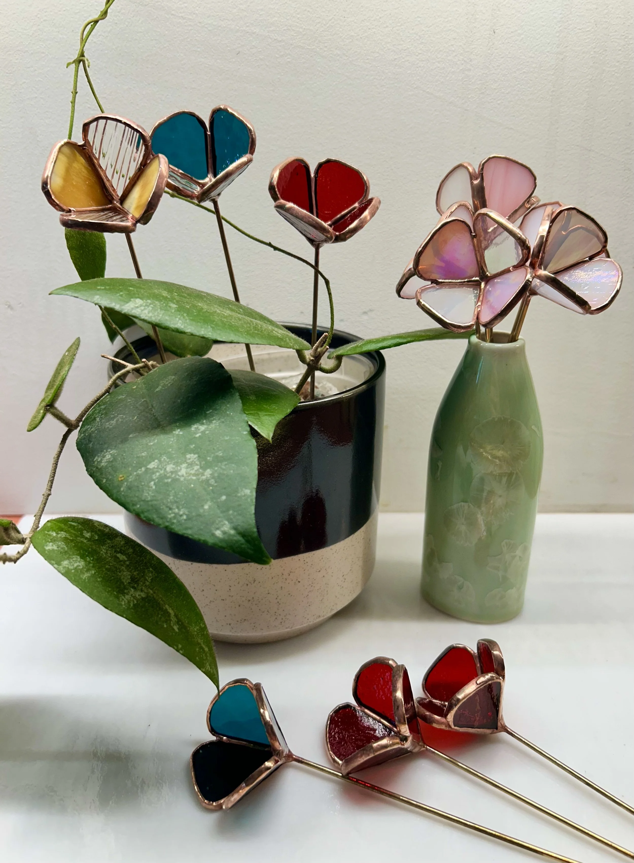 IMG_7240.jpeg (Copy)