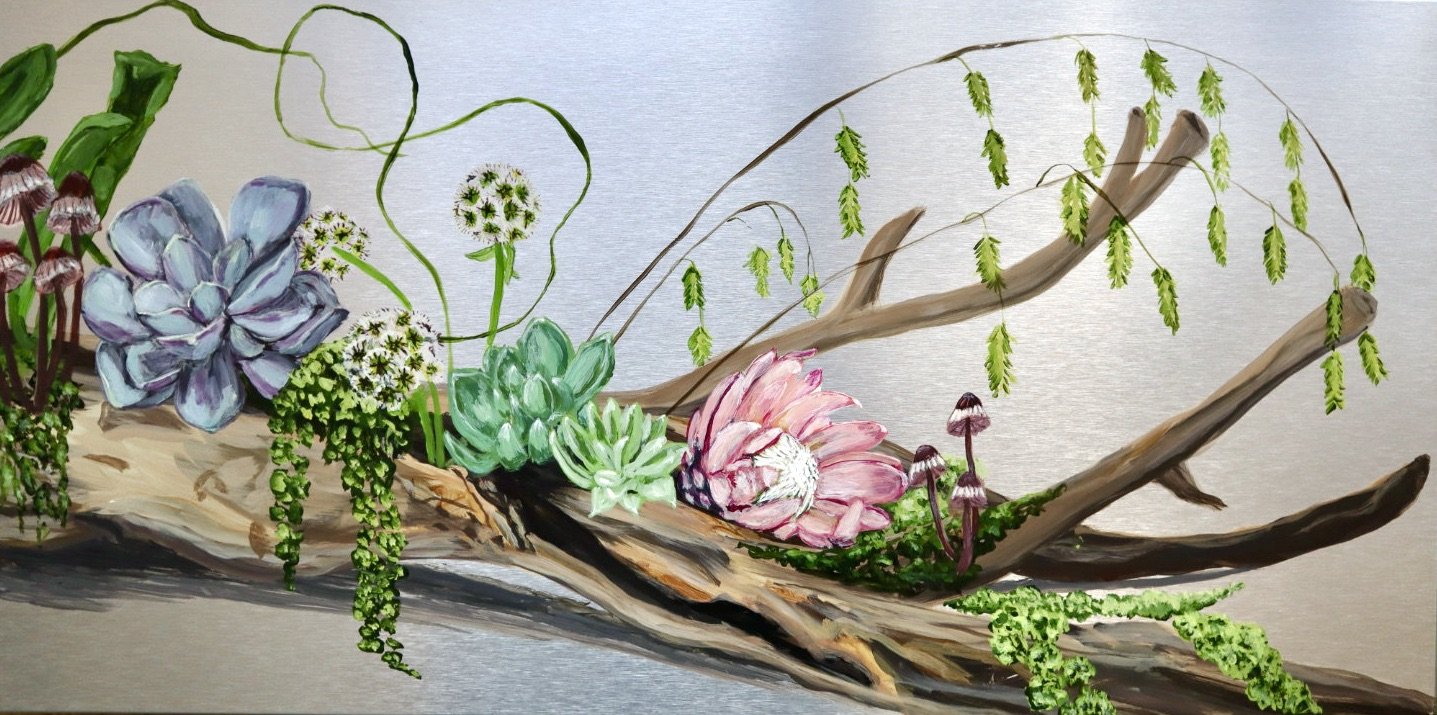 2-Driftwood Succulents.JPG