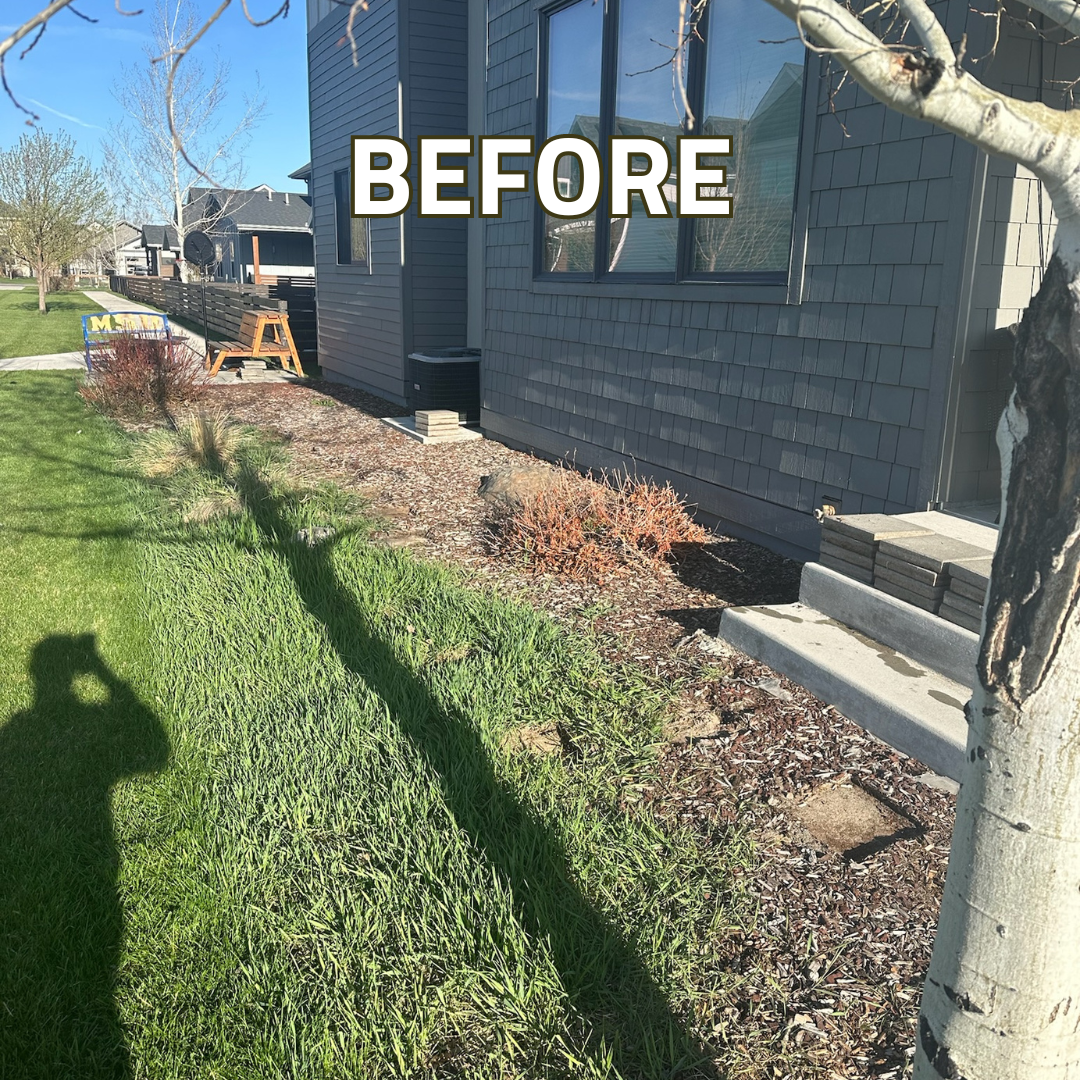 Your paragraph text.png