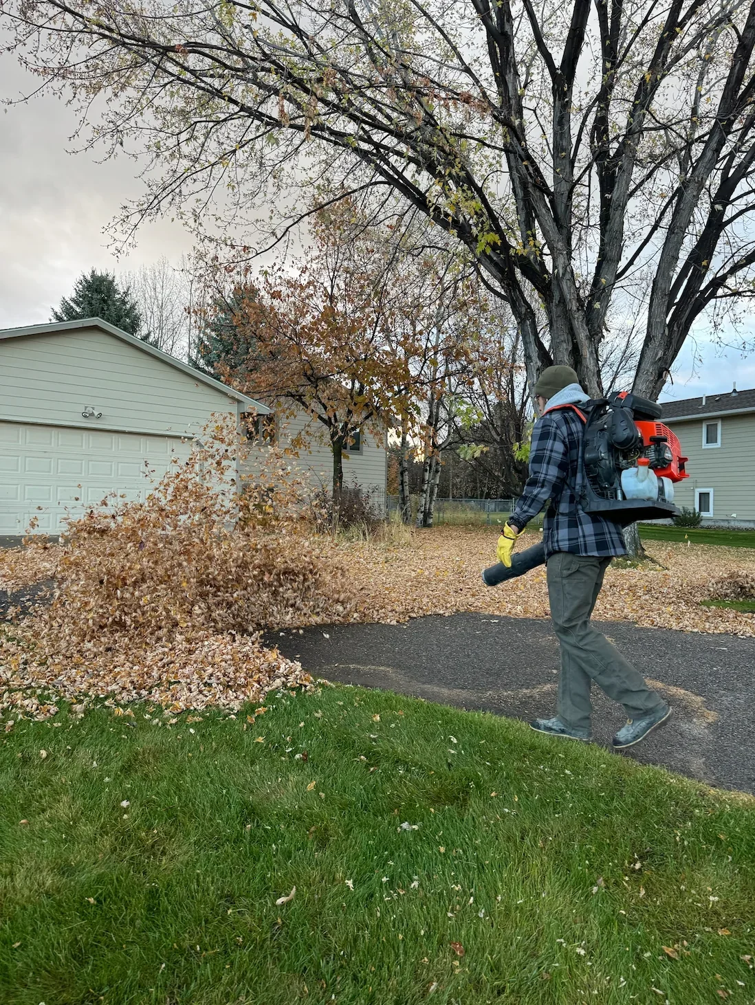Fall cleanup - clearing leaves, sticks, and other debris from the property in Bozeman