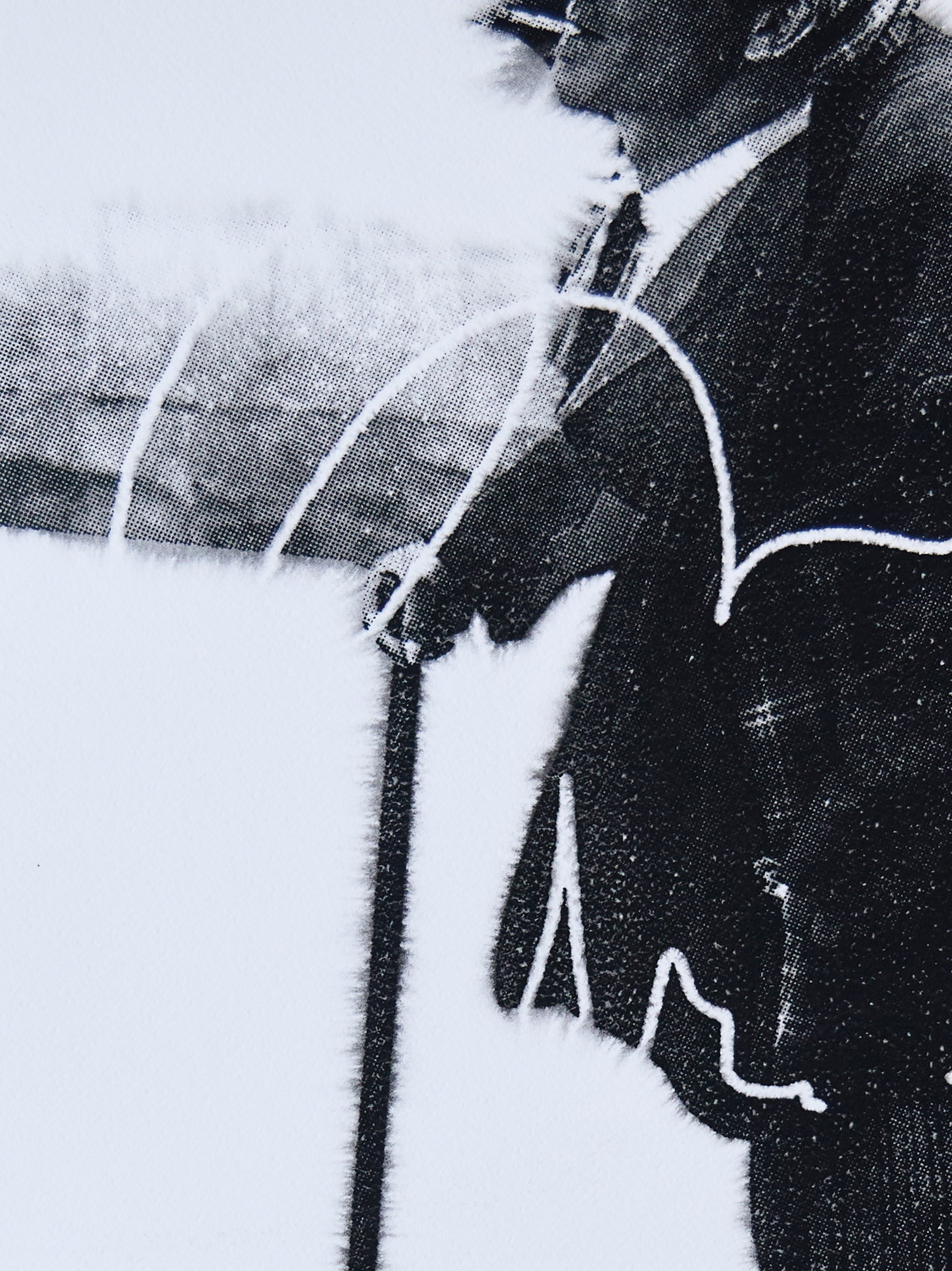 Josh Wald Wet Prints Zoom2 5K3A6272.jpg
