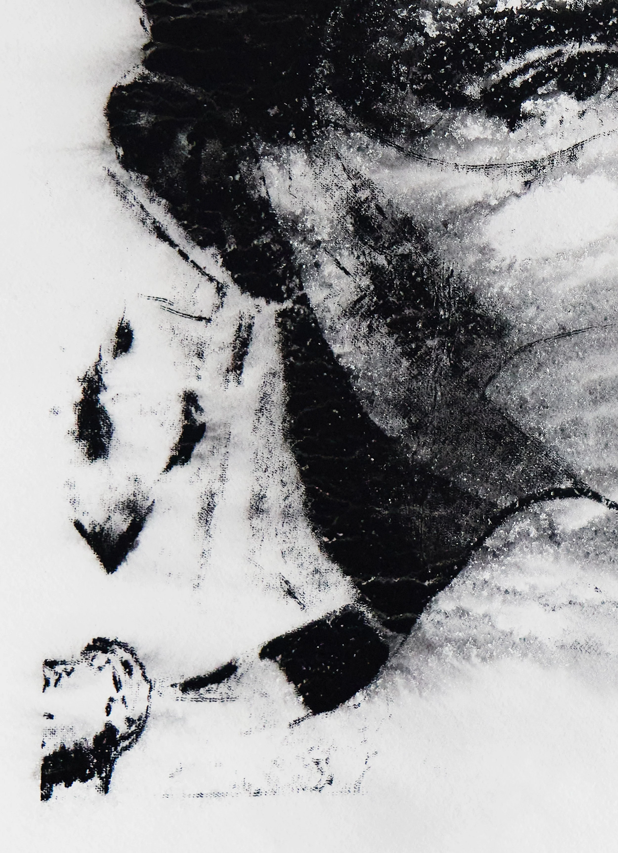 Josh Wald Wet Print zoom2 5K3A4115.jpg