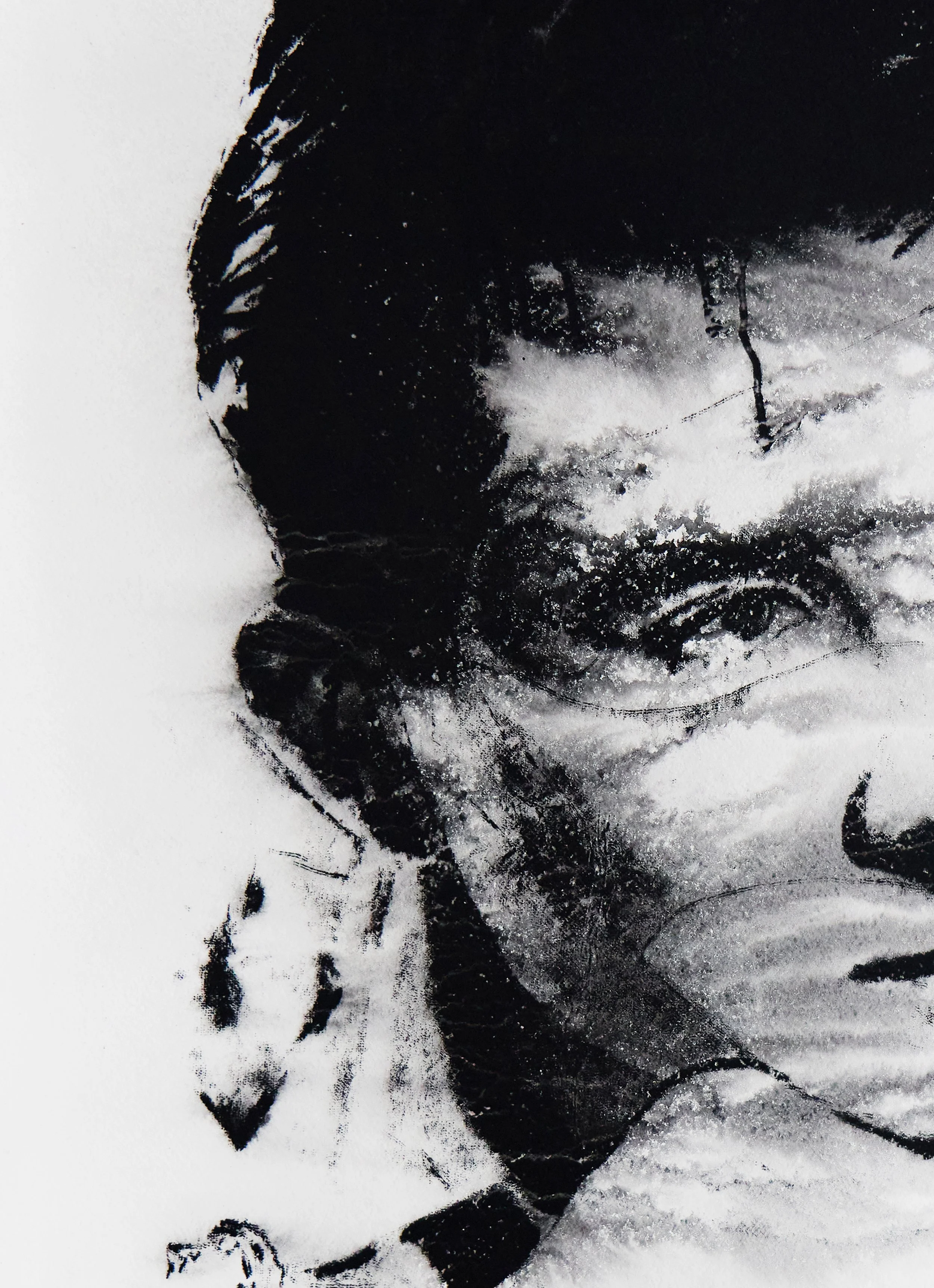 Josh Wald Wet Print zoom1 5K3A4115.jpg