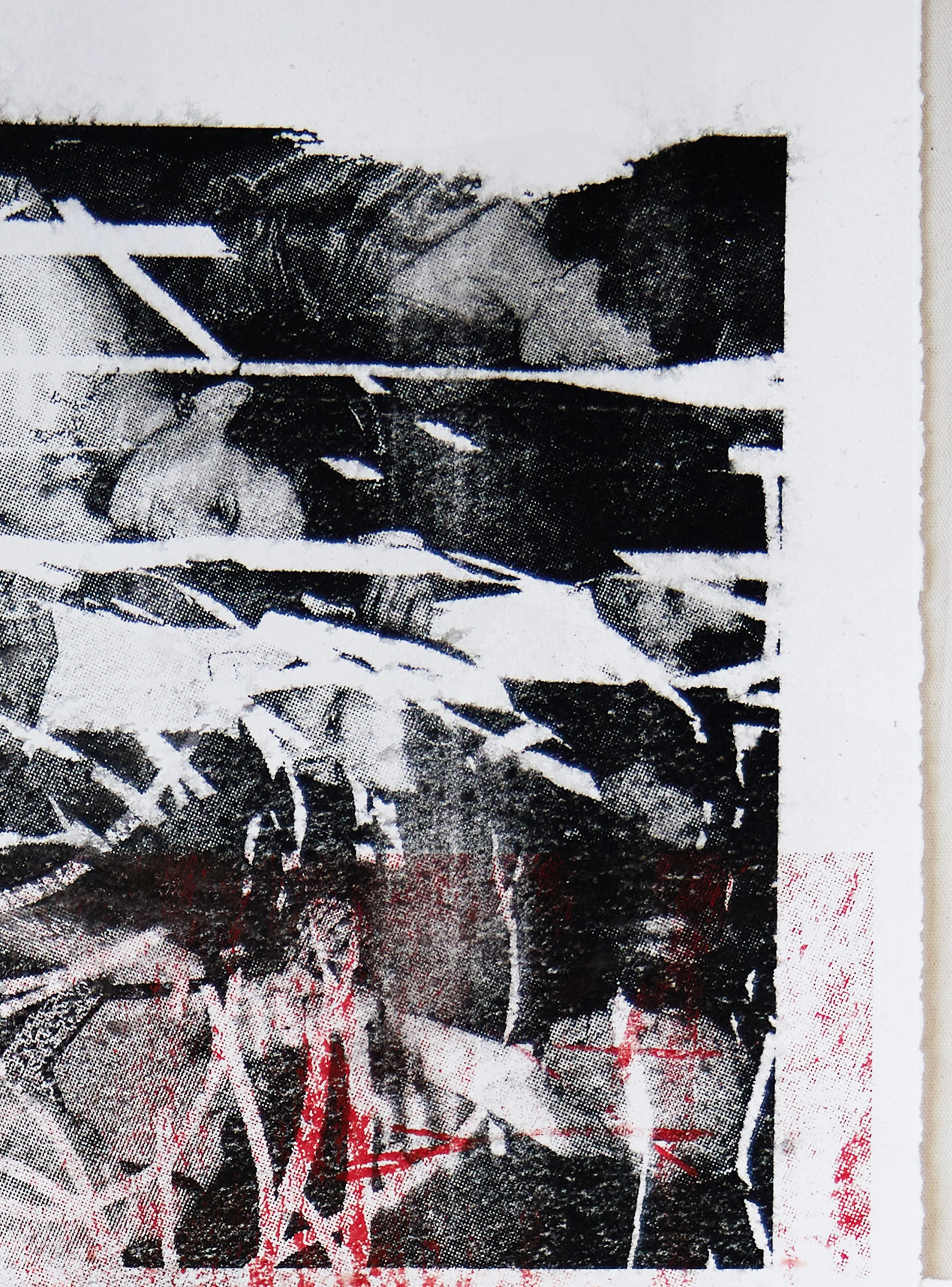 Josh Wald Wet Print Zoom3 5K3A6246.jpg