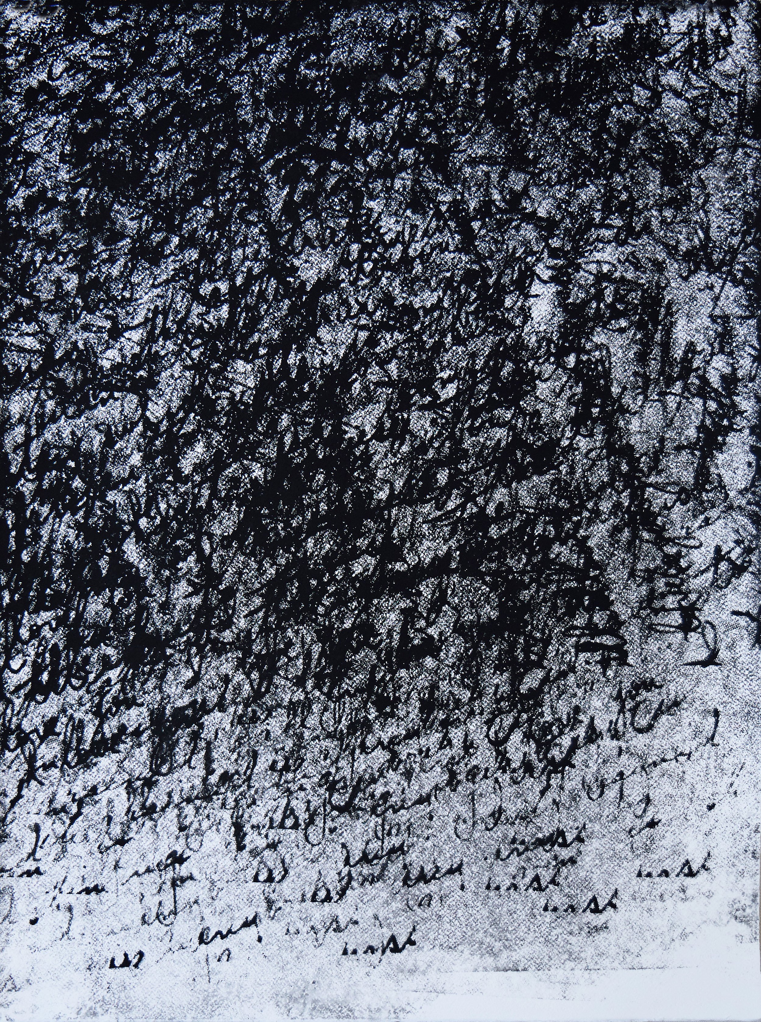 Josh Wald Wet Print CROP 5K3A6270.jpg
