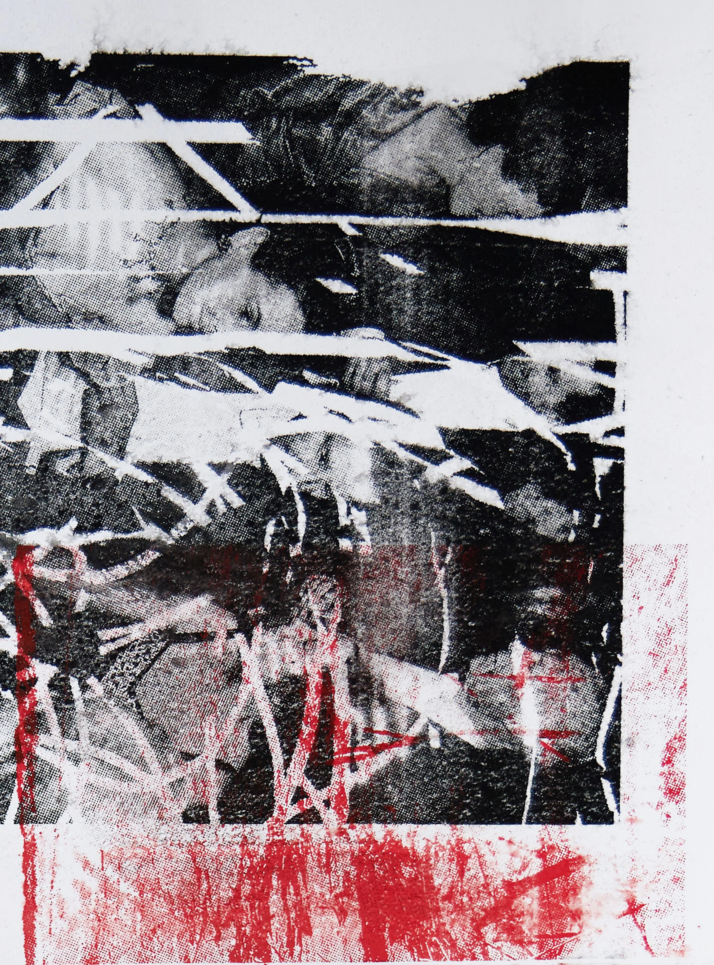 Josh Wald Wet Print Zoom2 5K3A6246.jpg