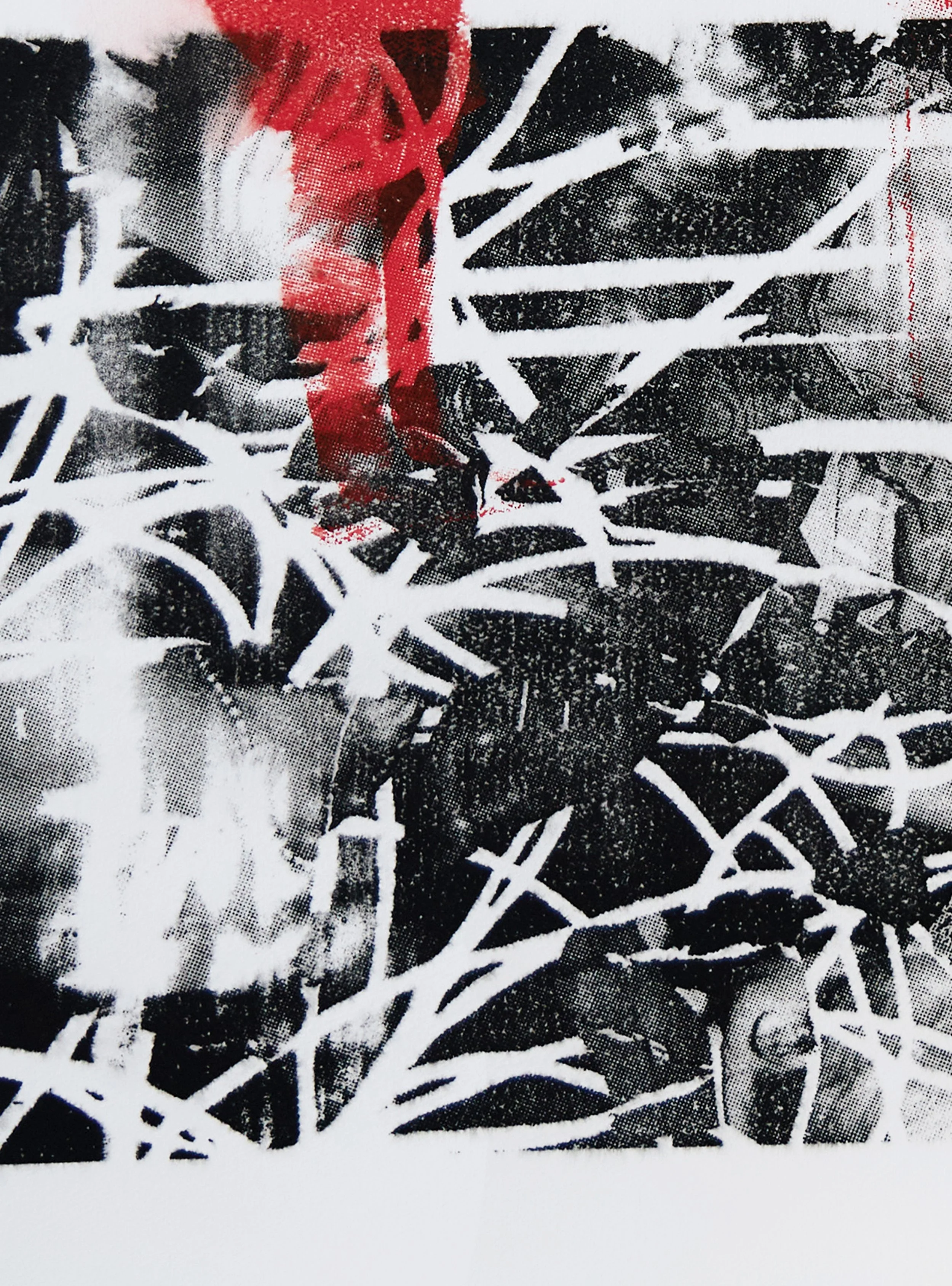 Josh Wald Wet Print Zoom4 5K3A6246.jpg