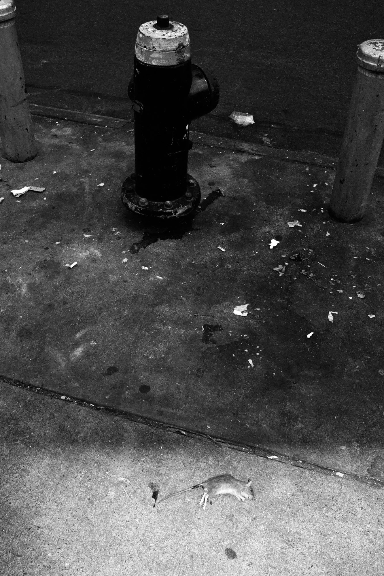 eighty-eight-films-nyc (51 of 70).jpg
