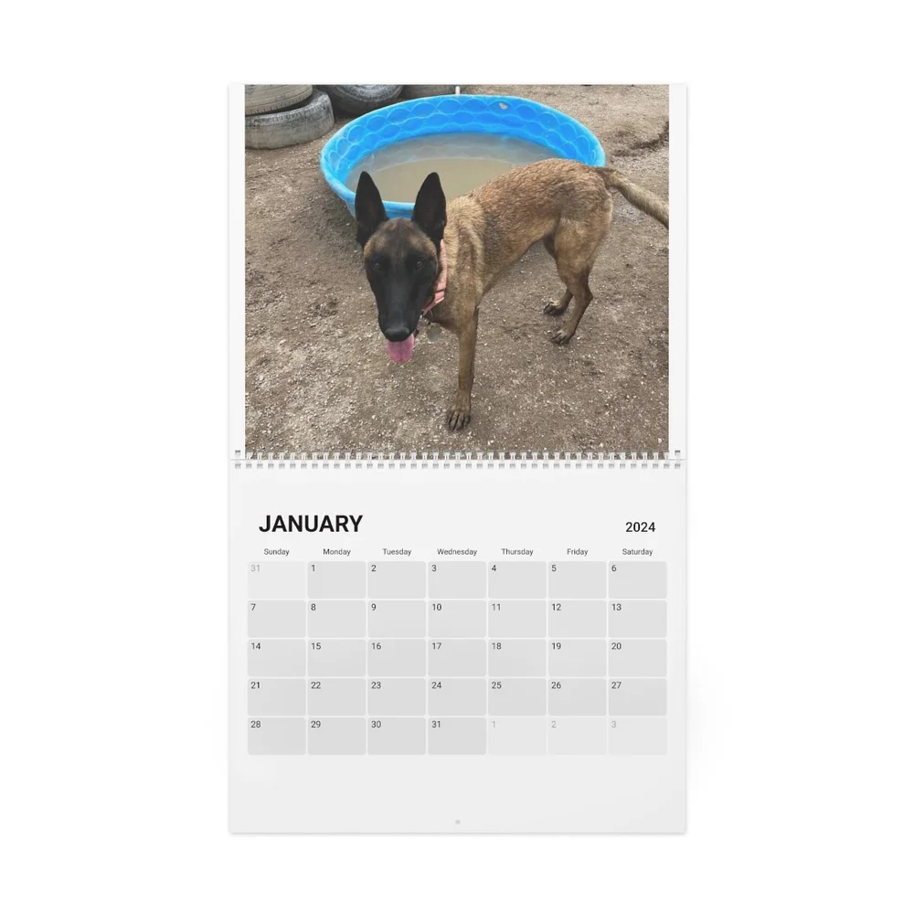 Playhouse calendar sale