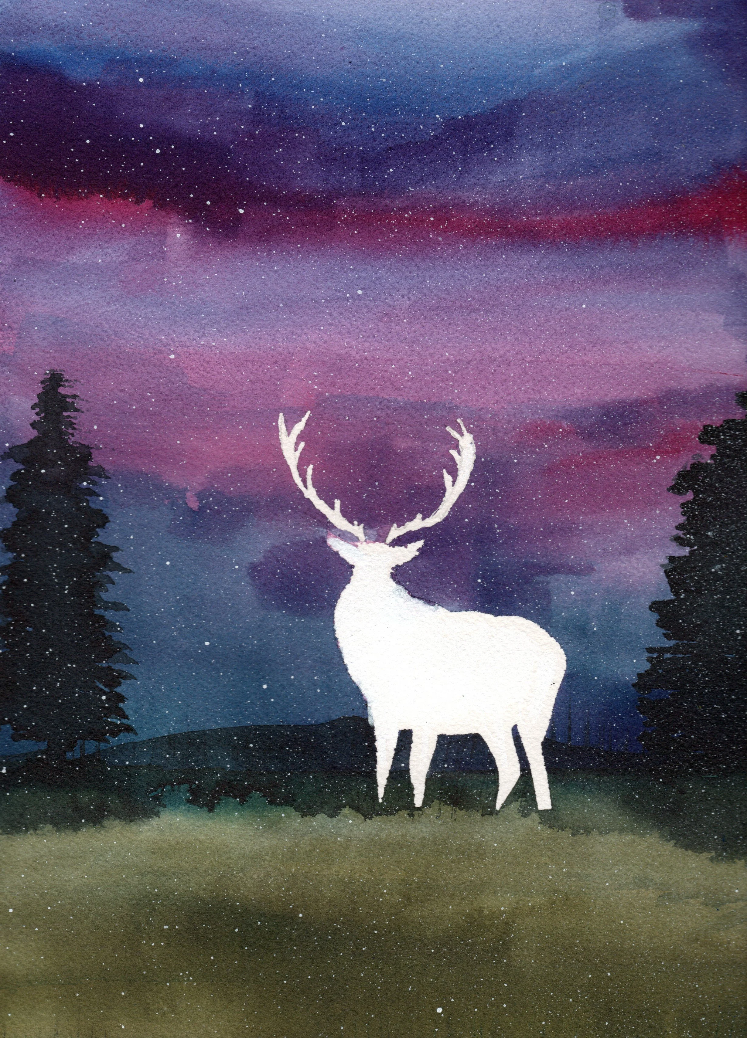 Elk 2026.jpg