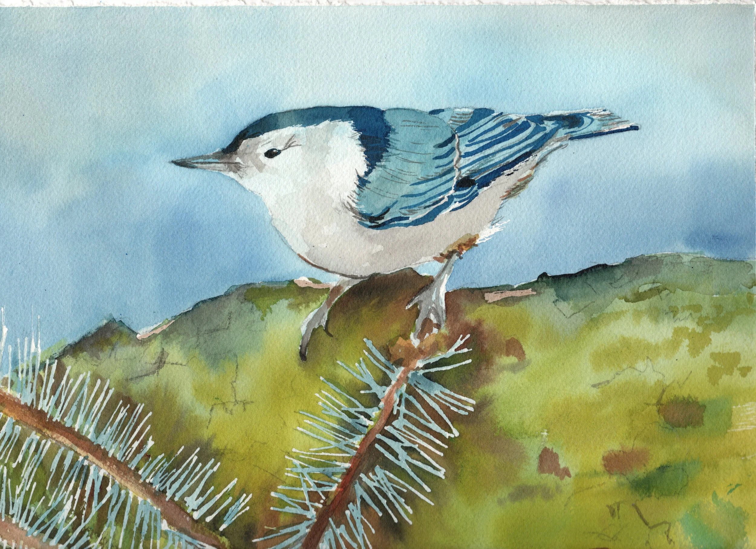 Little Blue Bird 2026.jpg