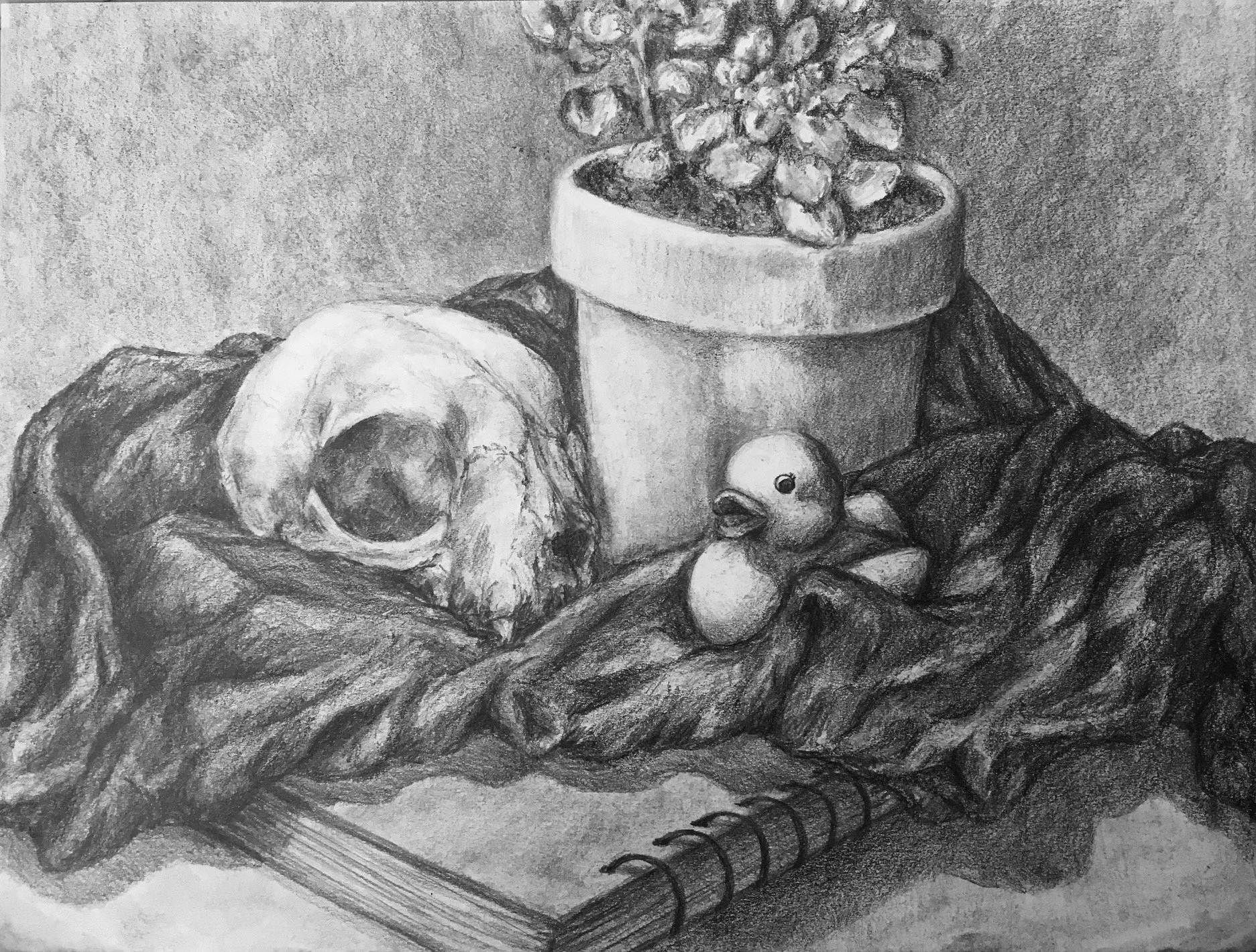 Student Still Life_graphite.jpg