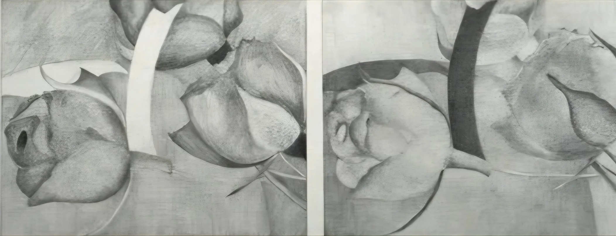 Drawings Itermediate Beginning and Intermediate Drawing - Three Consecutive Saturdays July ...