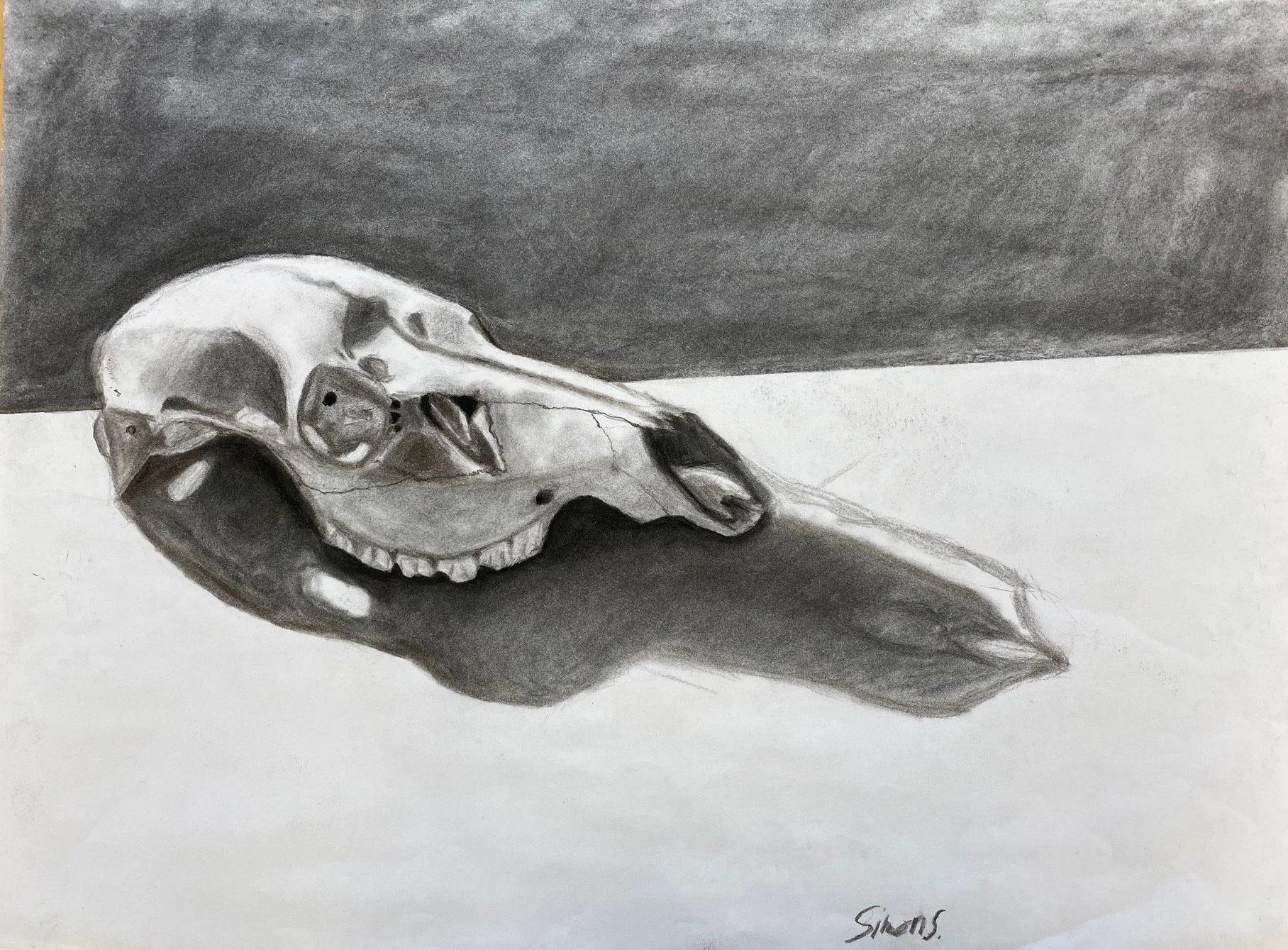 Charcoal Still Life_student.jpg