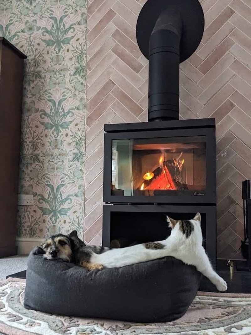 Thank you to our lovely customer for leaving a 5* review for their installation of the Dik Guerts Vidar Triple woodburning stove. We love photos of your family (inc furry family 🐾) enjoying the fire as much as you and this one has a real &ldquo;wow&