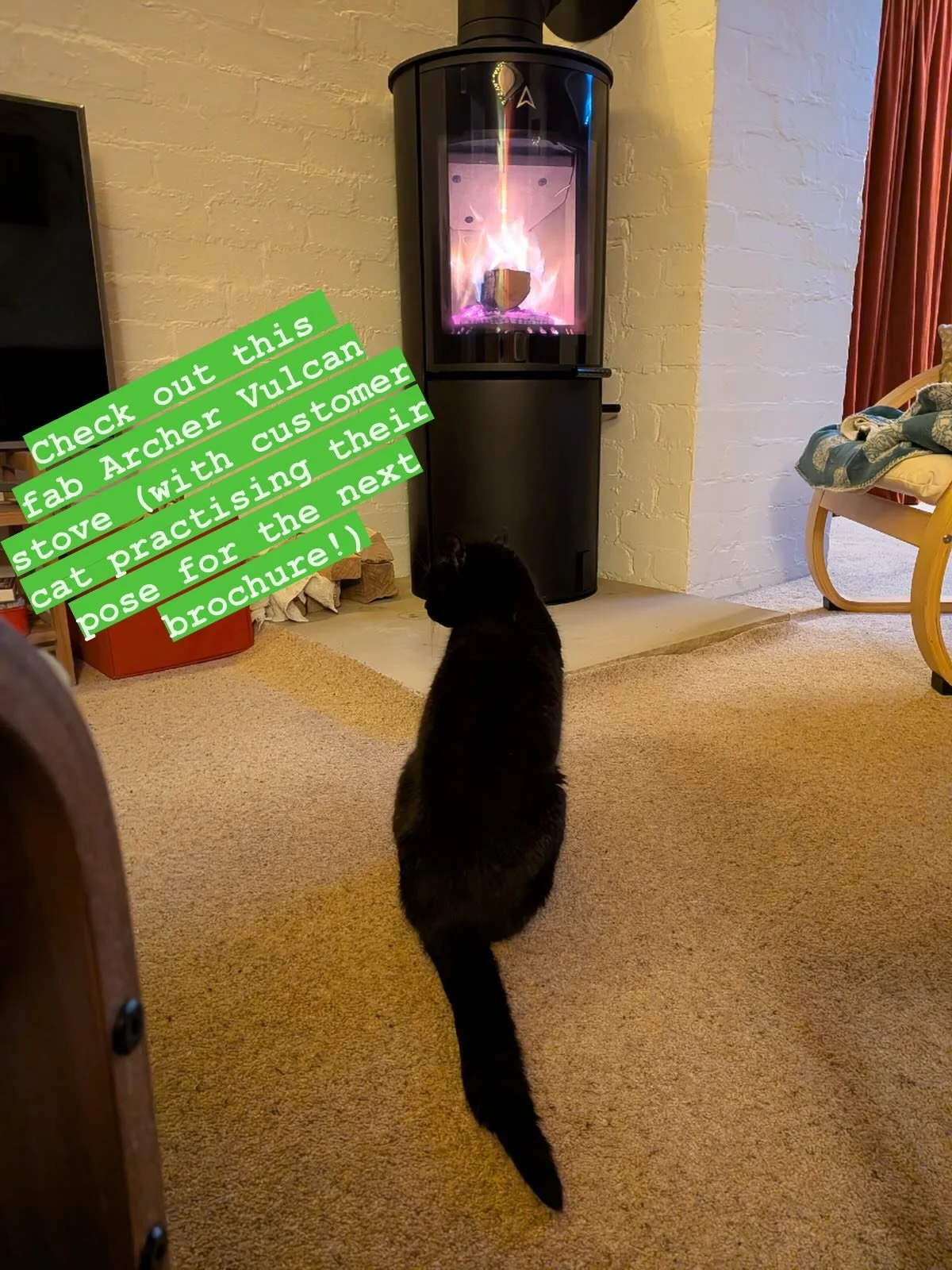 When you see the brochure from @archerfiresltd you will see an array of pets in the front page, one of our lovely customers sent this photo of their cat posing in front of their brand new Archer Vulcan Woodburning stove, definitely brochure material,