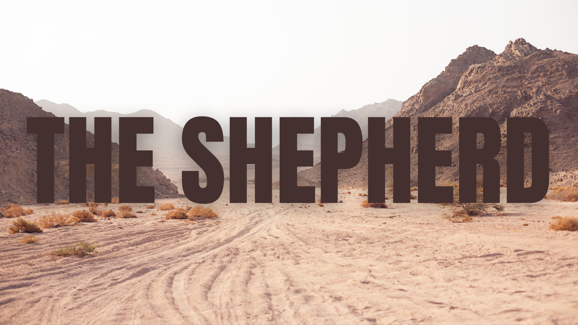 I’ve Got A Shepherd Pt. 1